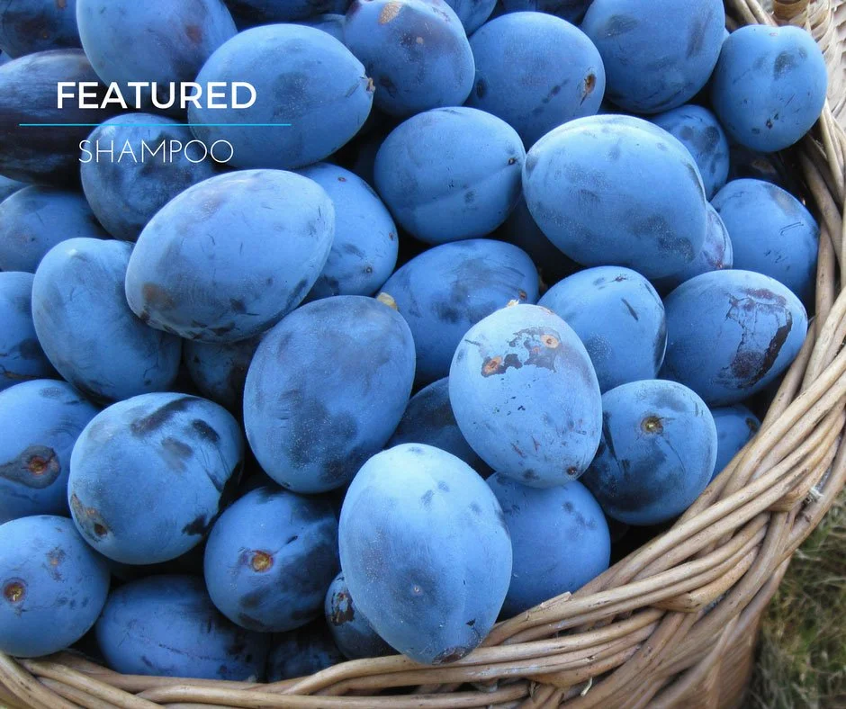 Add plum to your dog's bath starting today