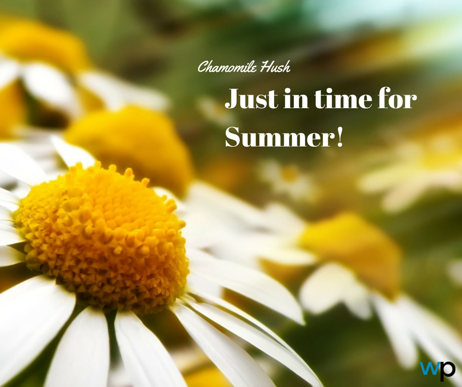 Chamomile Hush now in Self-Serve Wash