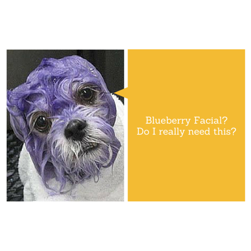 What is exactly a Blueberry Facial?