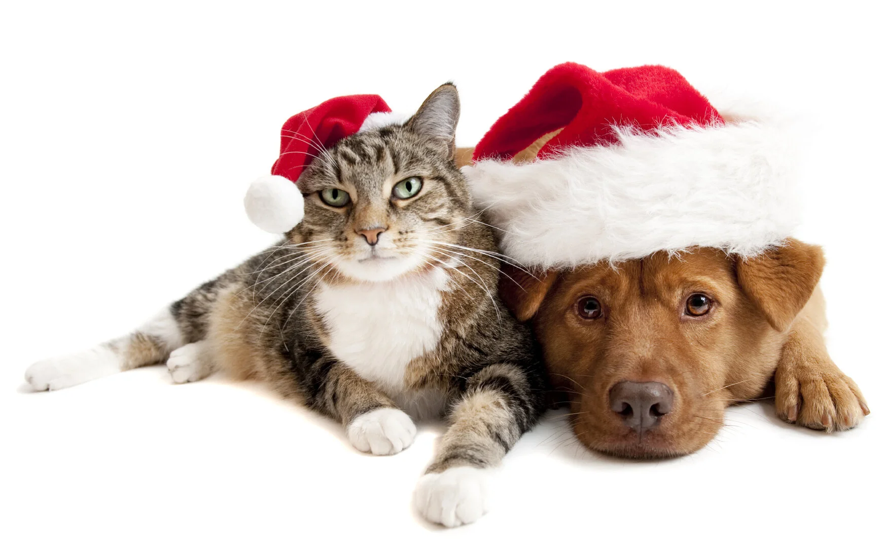 Holiday Hours