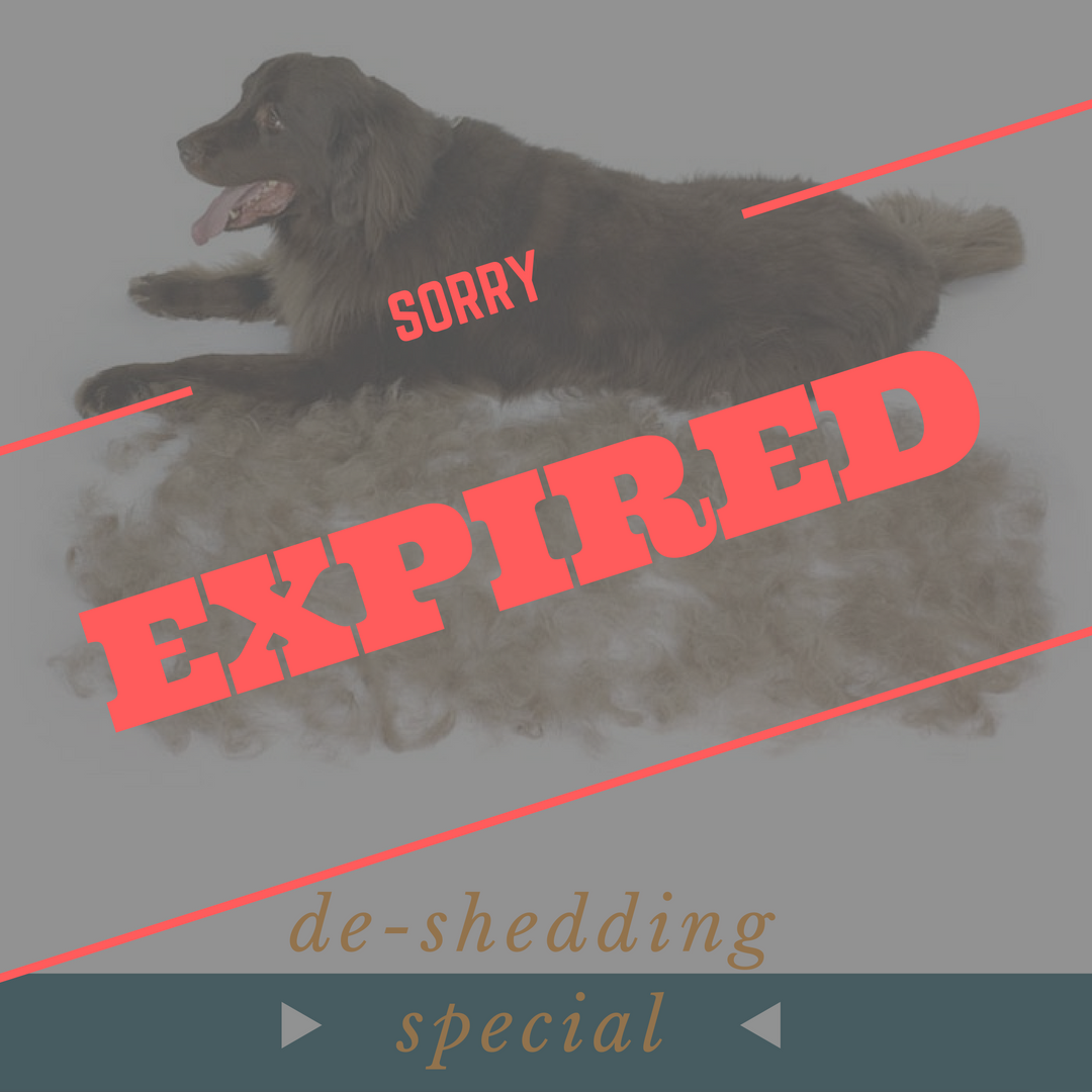 de-shed special