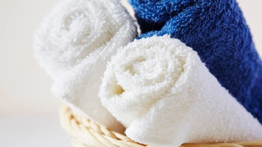 bath and brush pet grooming nashville rates
