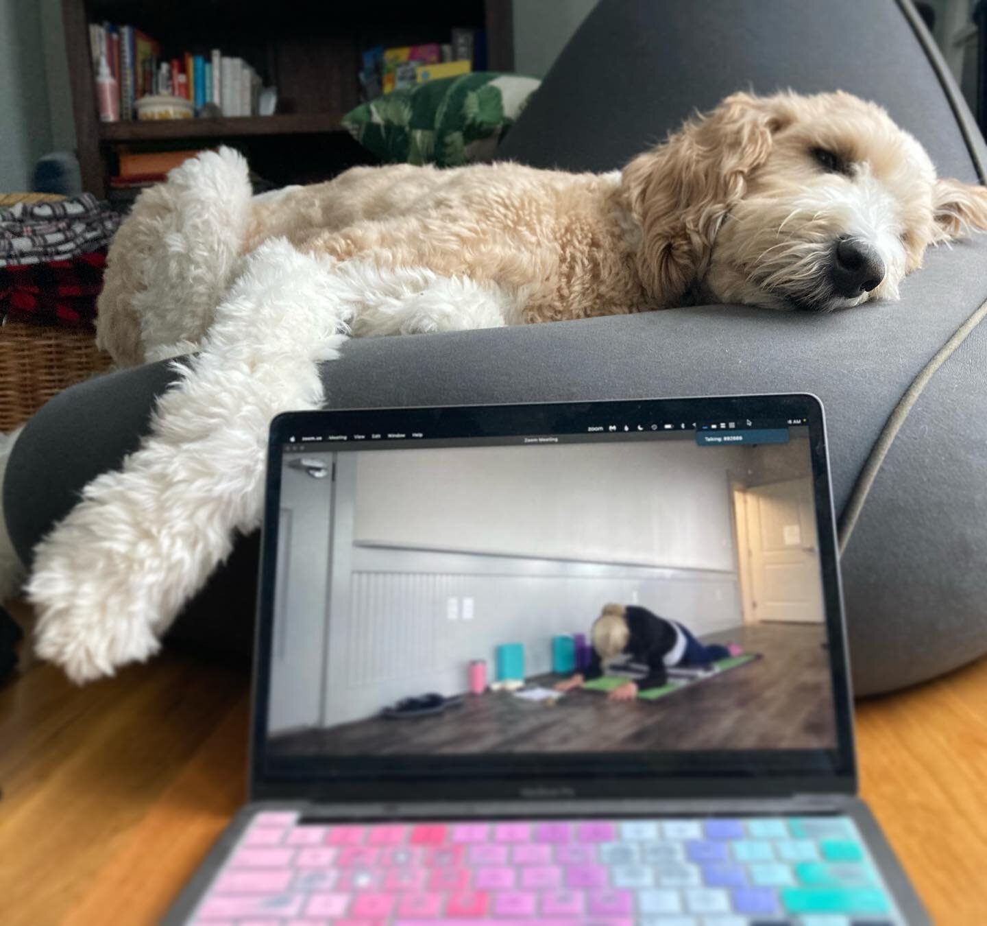 Posting actual yoga from time to time for brand authenticity purposes. #downwarddog #writinginyogapants ✍️🧘&zwj;♀️👖