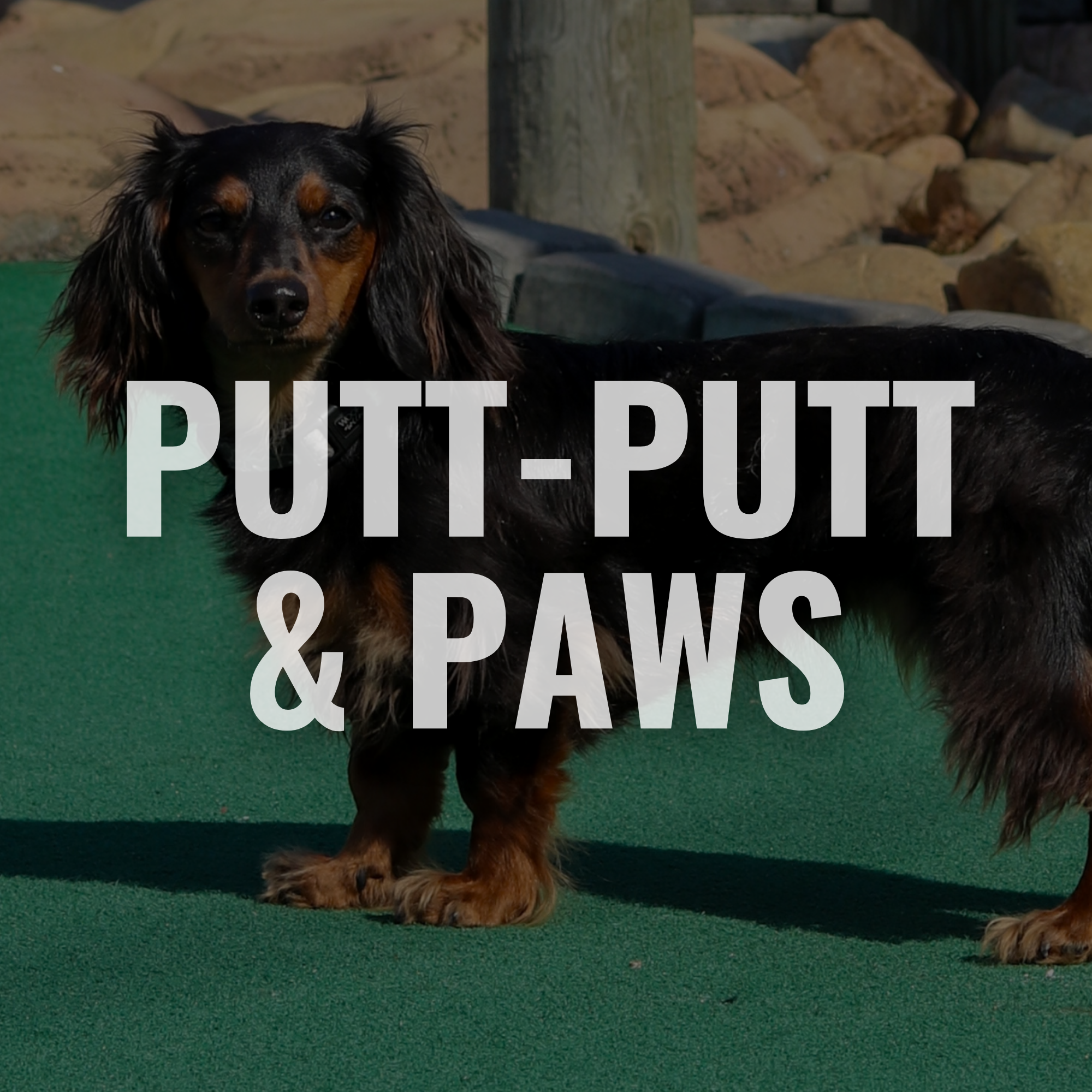 Putt-Putt & Paws