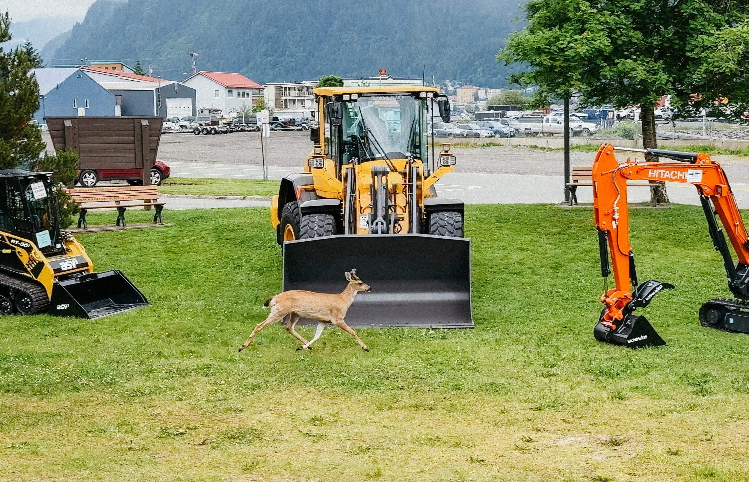JUNEAU GOLD RUSH DAYS 2024-1-8.jpg