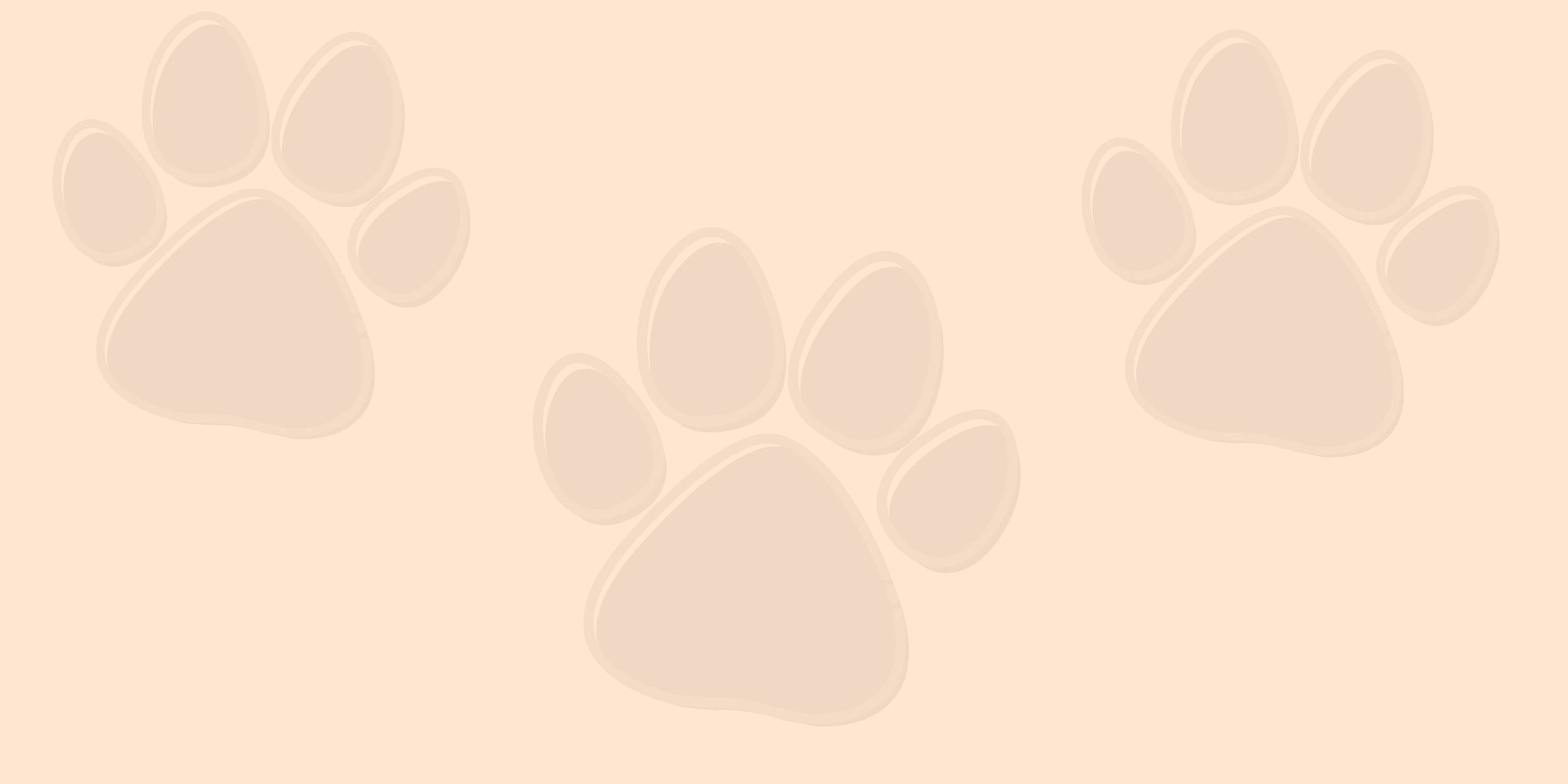 Tails 'n Trails