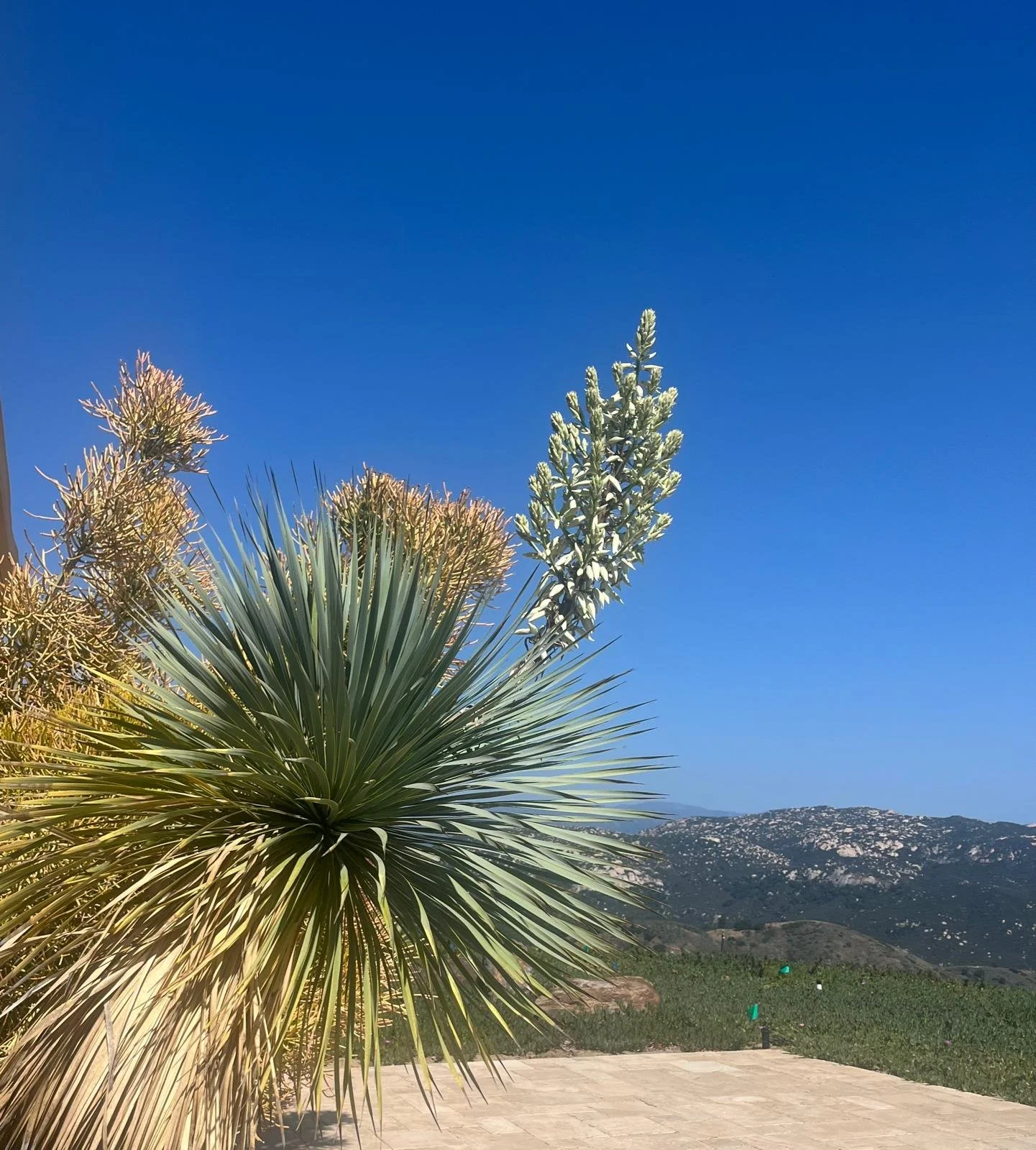 Online Goals Weekend Intensive