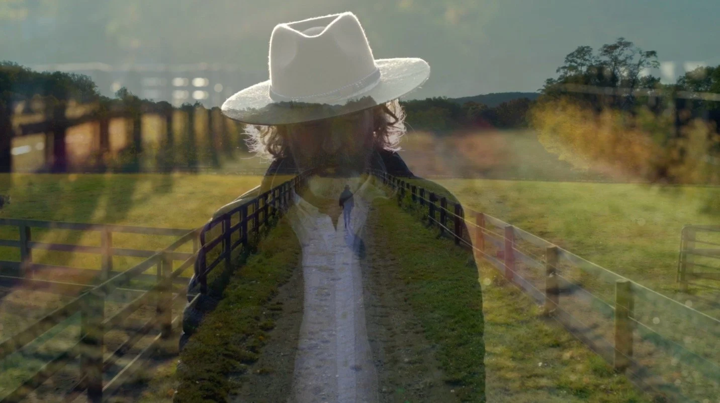 Let The Horses Take Us Home - by Dan Bratman