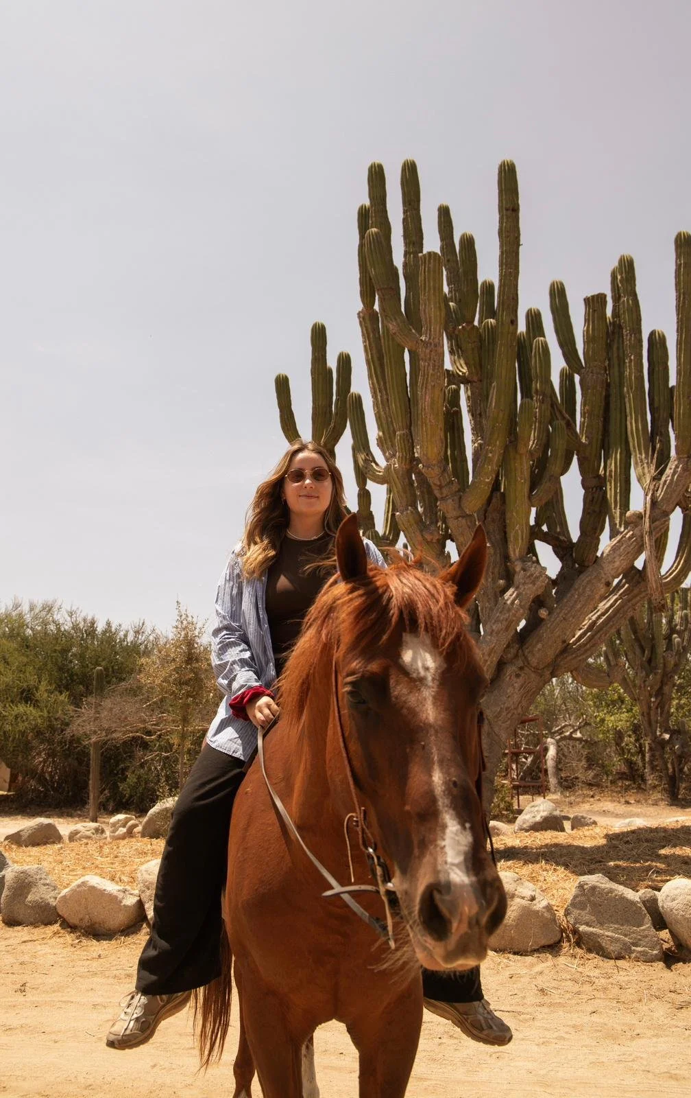 *My Experience at the Heart &amp; Herd Retreat at Los Sagrados Ranch* - by Caro
