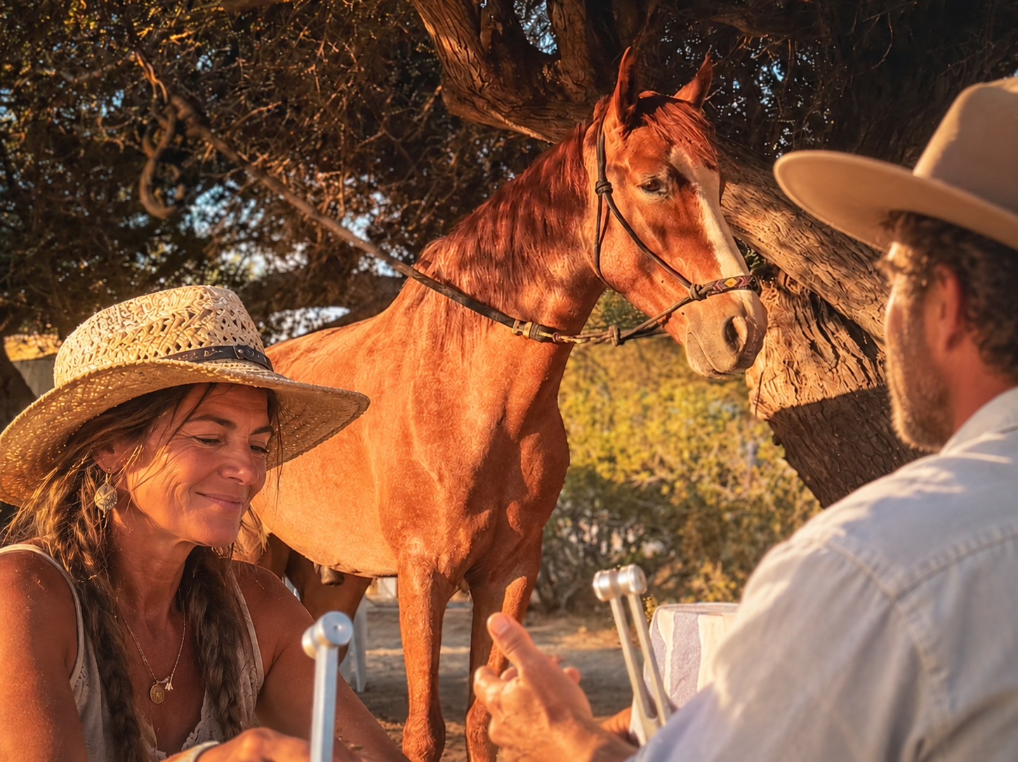 A woman with long blonde hair wearing a sunhat and white top, smiling and sitting outdoors, interacting with a man with glasses and bald head, who is holding a cell phone. Behind them is a brown horse tied to a tree, under a large tree with dark branches and leaves. The setting appears to be a sunny, outdoor location, possibly a park or farm.