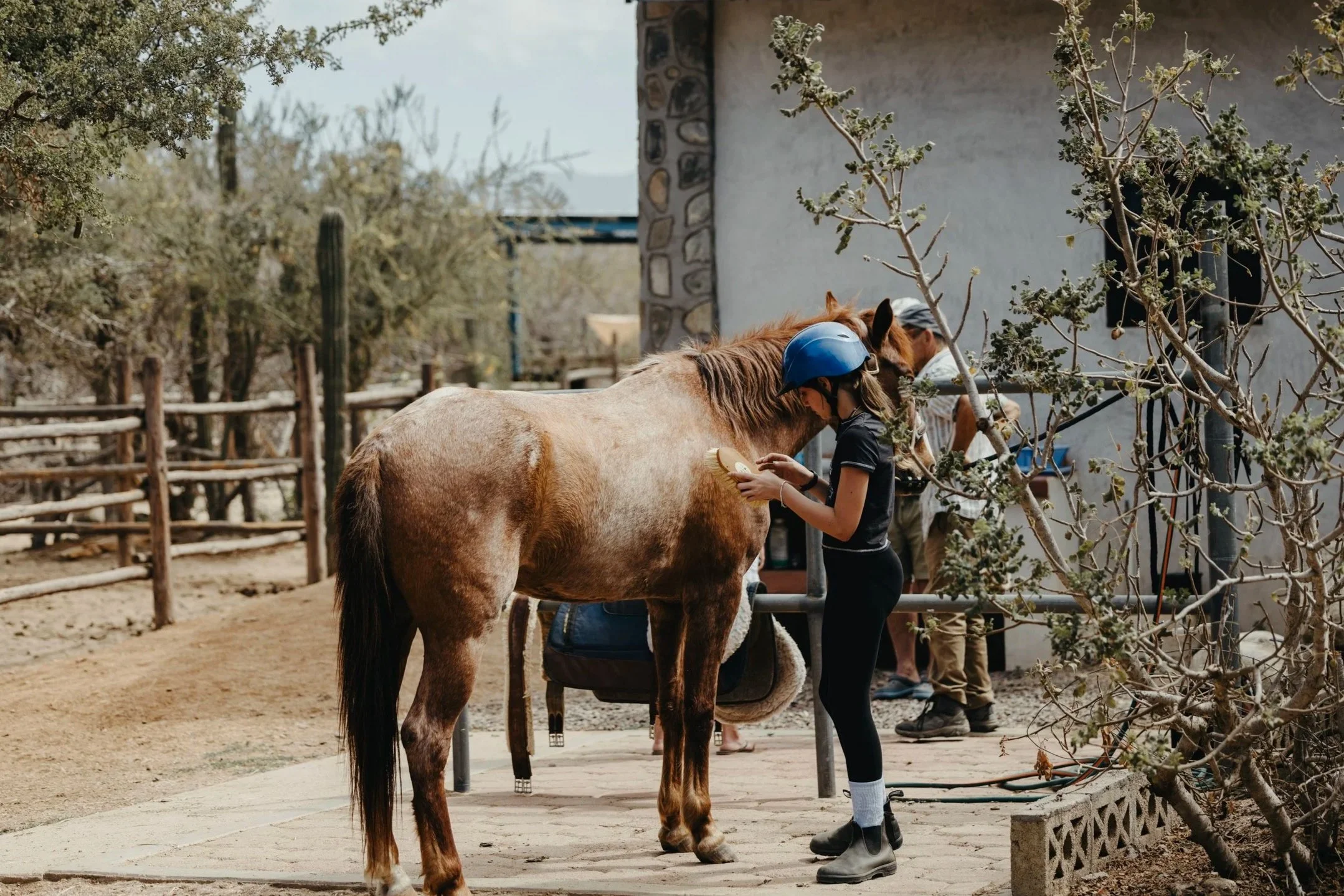 A woman in a white tank top and jeans riding a brown horse while an older man in a blue t-shirt, beige pants, and yellow gloves helps prepare the horse. The scene takes place outdoors under a tree with sunlight filtering through the leaves.