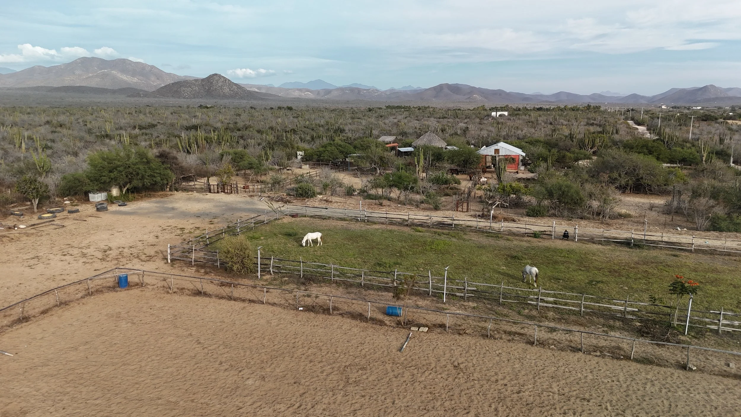 dji_fly_20260524_173346_0187_1779679041741_photo.JPG