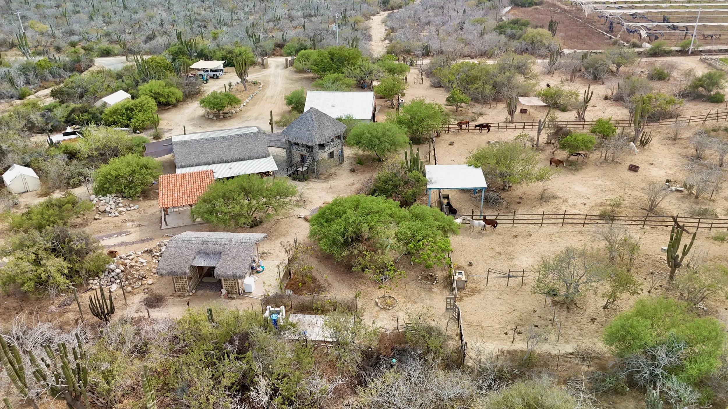 dji_fly_20260524_153042_0149_1779679137057_photo.jpg