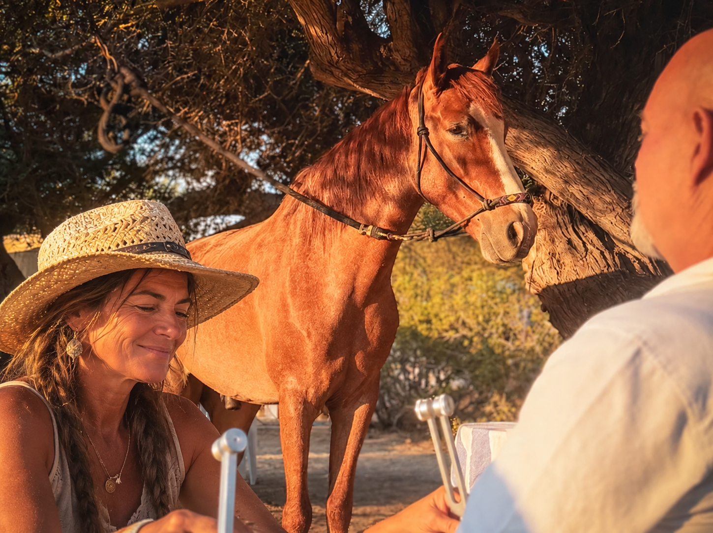 A woman with long blonde hair wearing a sunhat and white top, smiling and sitting outdoors, interacting with a man with glasses and bald head, who is holding a cell phone. Behind them is a brown horse tied to a tree, under a large tree with dark branches and leaves. The setting appears to be a sunny, outdoor location, possibly a park or farm.