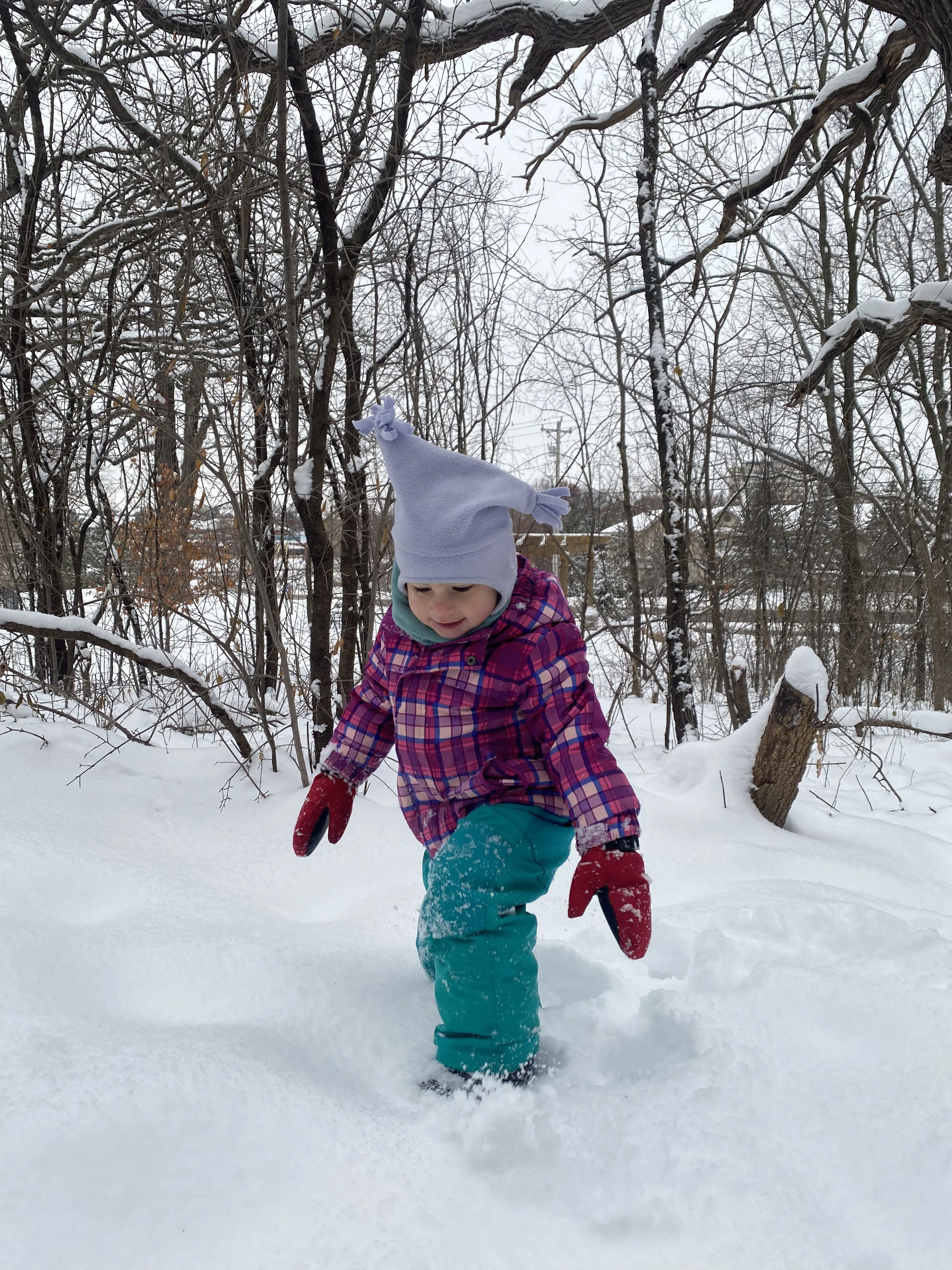 Little Learners, Big Adaptations: How Toddlers Learn to Thrive in New Seasons