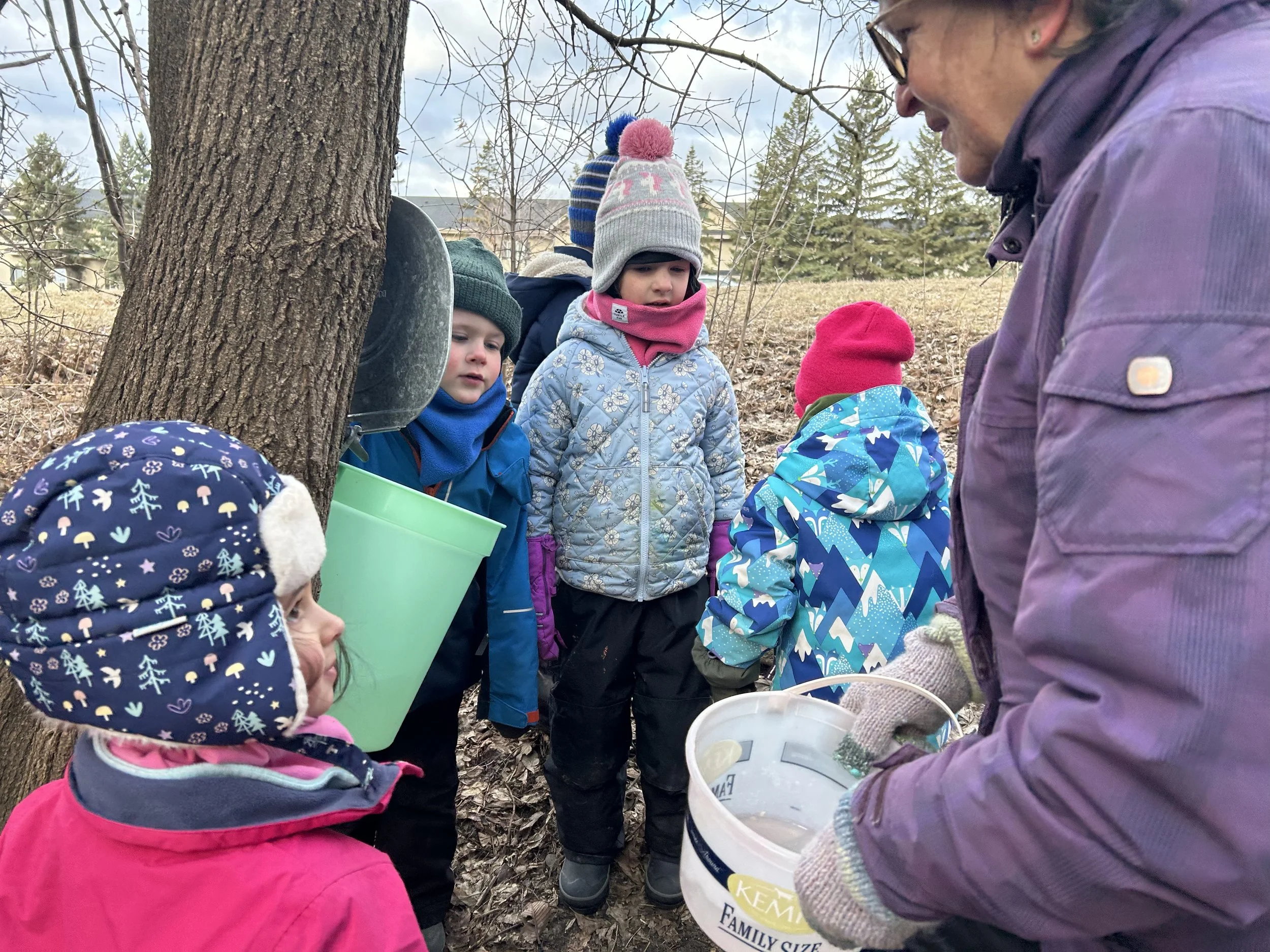 The Worth of Long-Term Projects in Preschool 