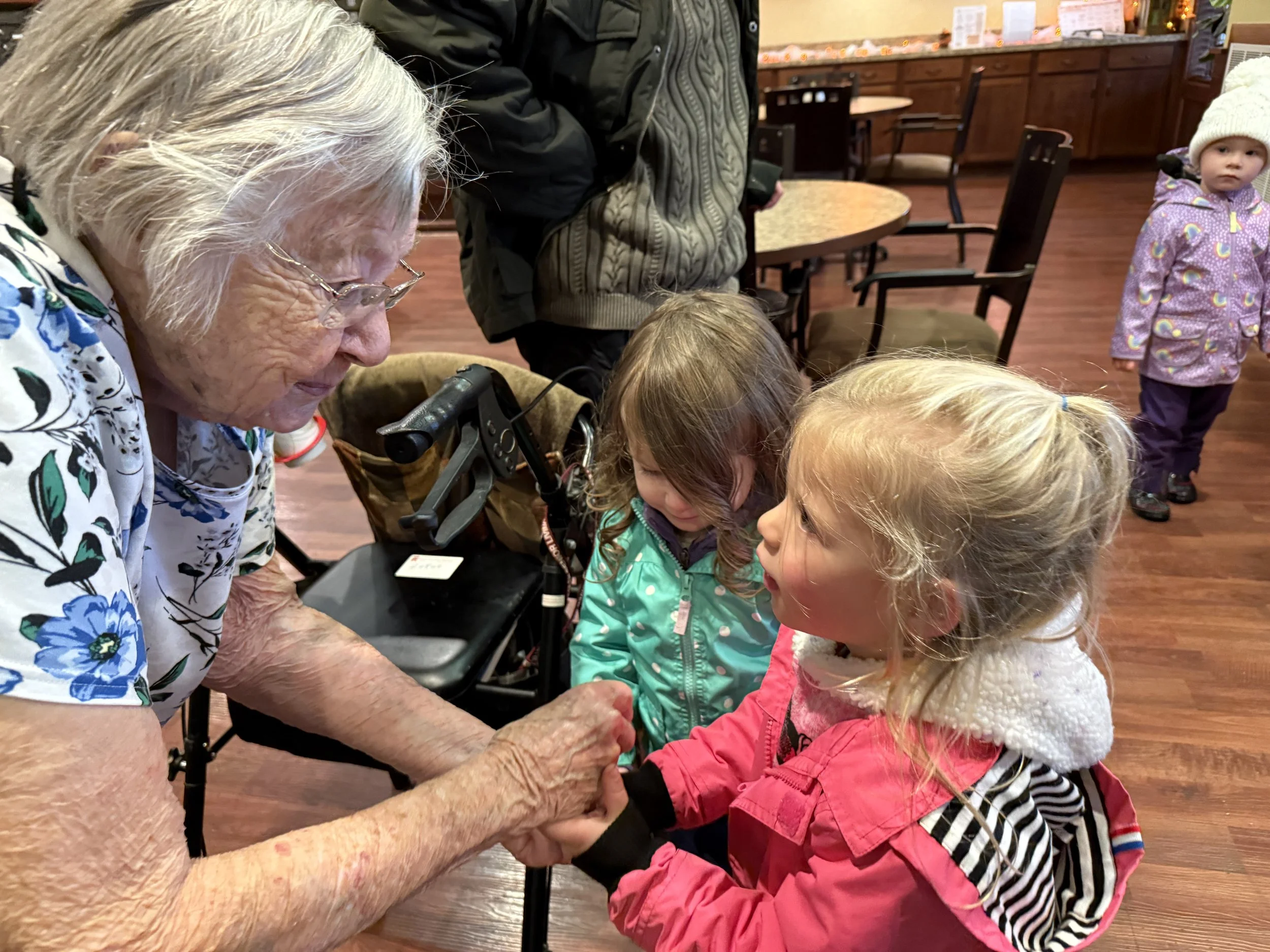 The Mycelium of Connection&nbsp;