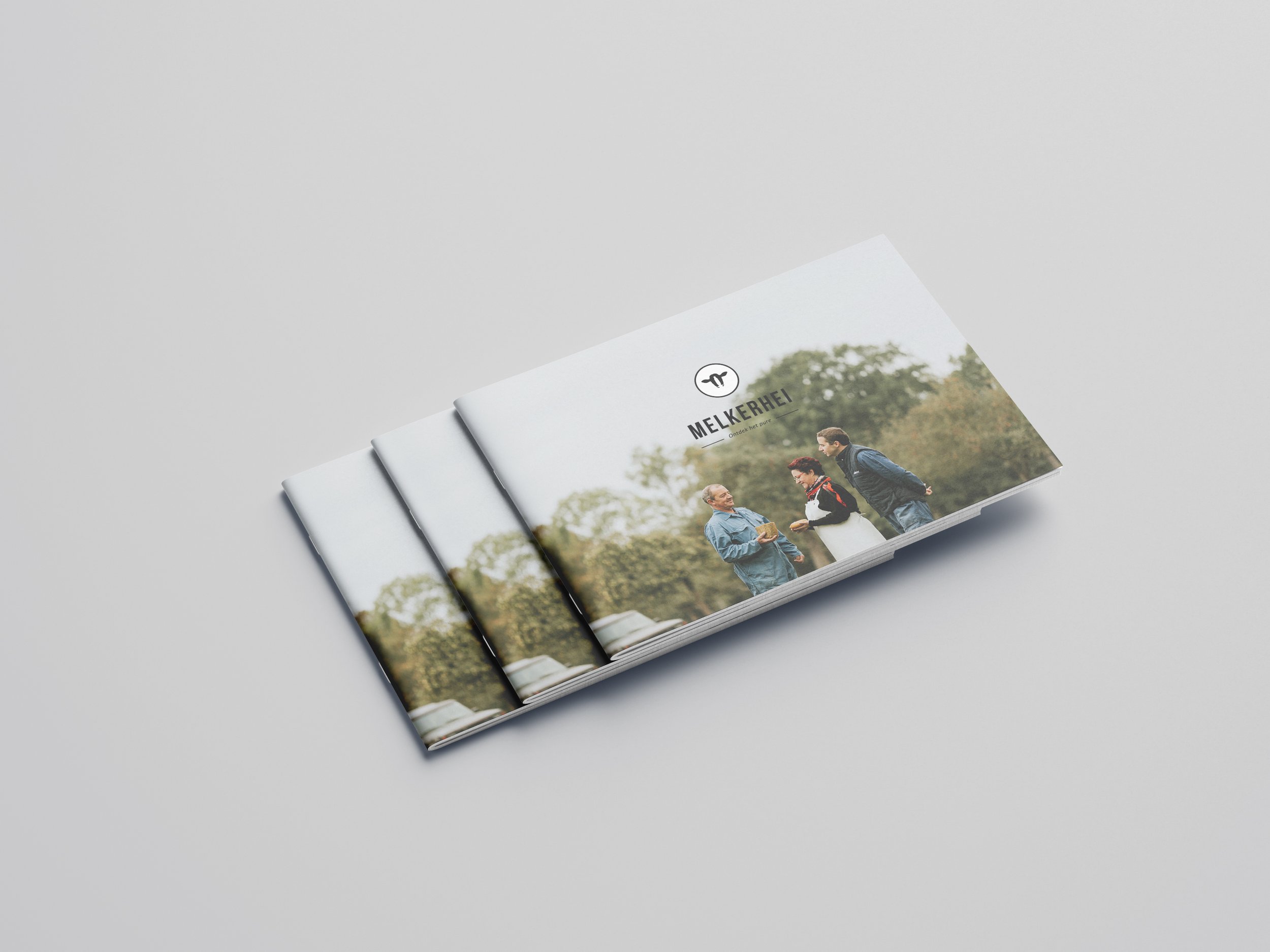 brochure01.jpg