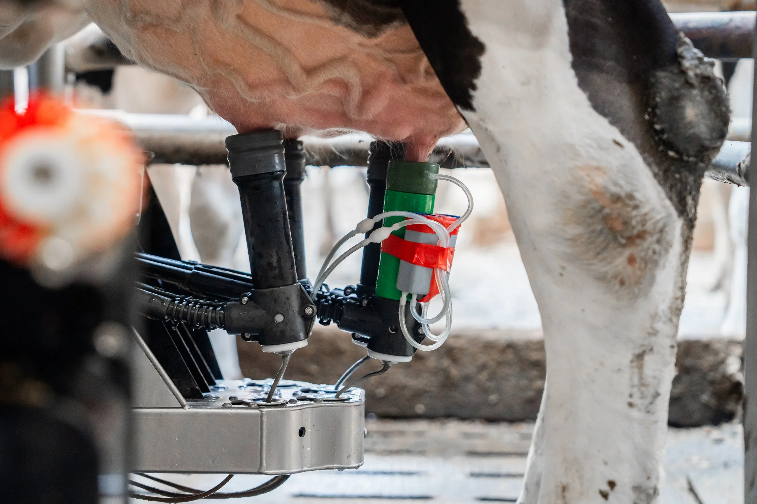 XL-PRO Milking | Content