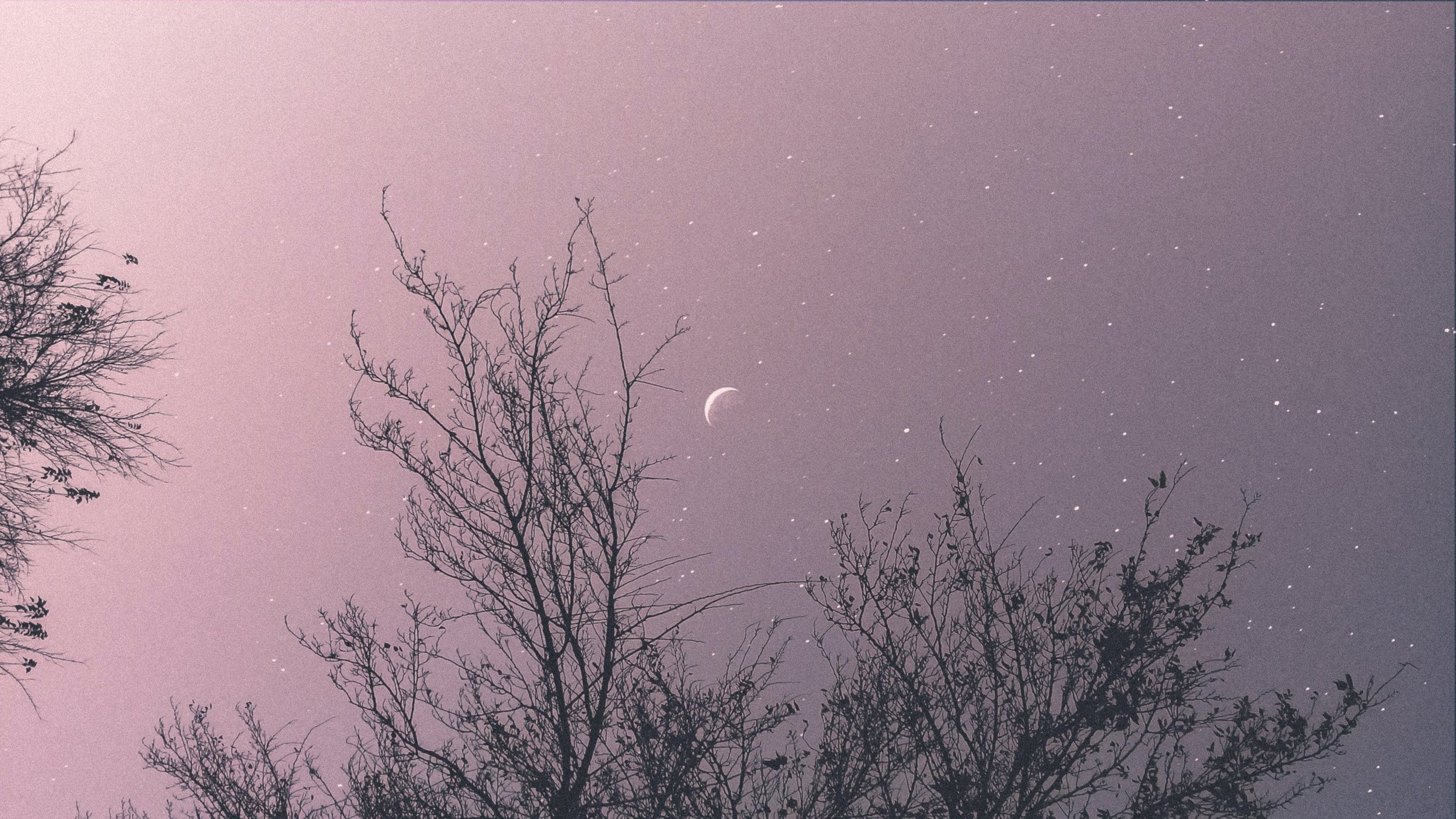 STAR/CHILD horoscopes for the week of April 10th, 2023
