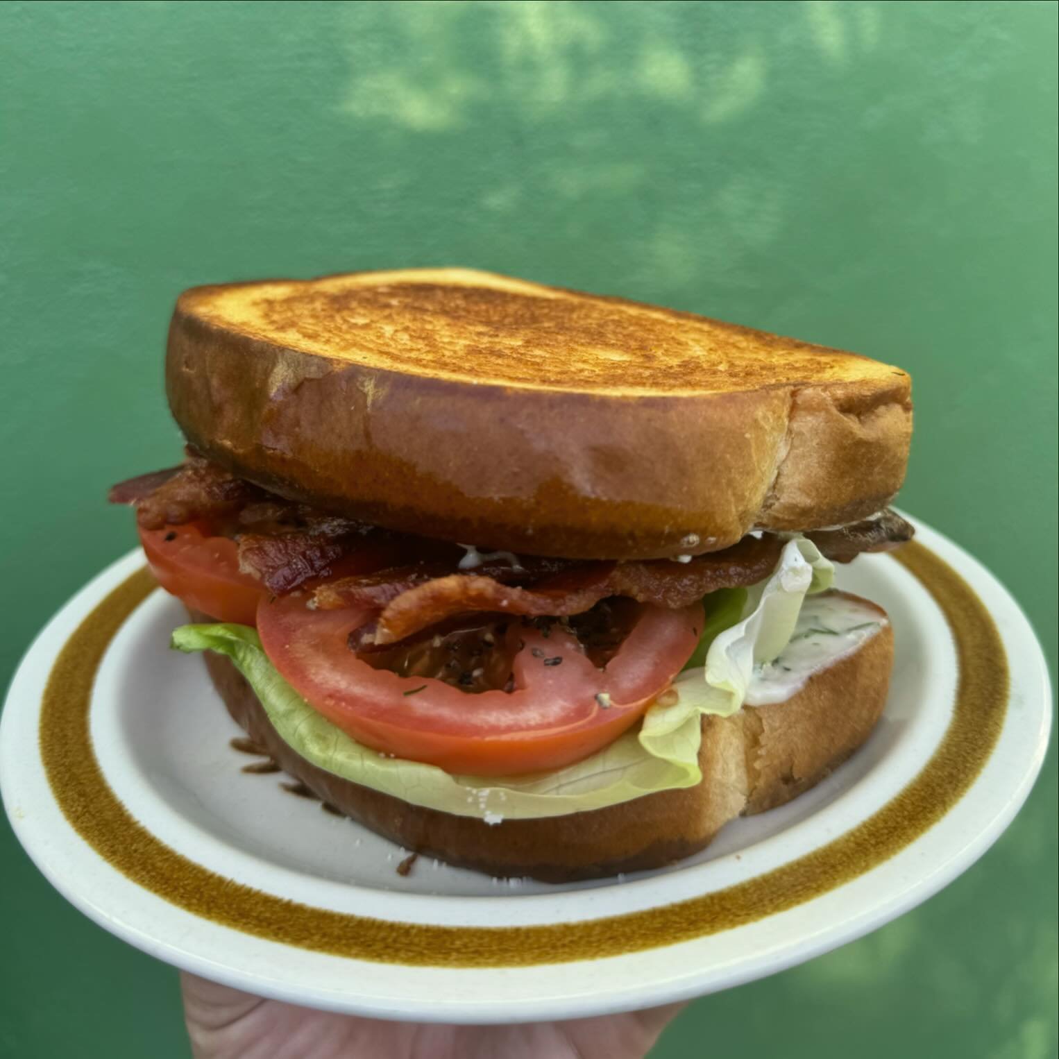 This week we have a heirloom tomato BLT! Dill and sunflower seed aioli and butter leaf lettuce on thick cut bread with tomato and bacon. Come on by and try it @dragoonbrewing @casavideoandfilmbar @tapandbottle
