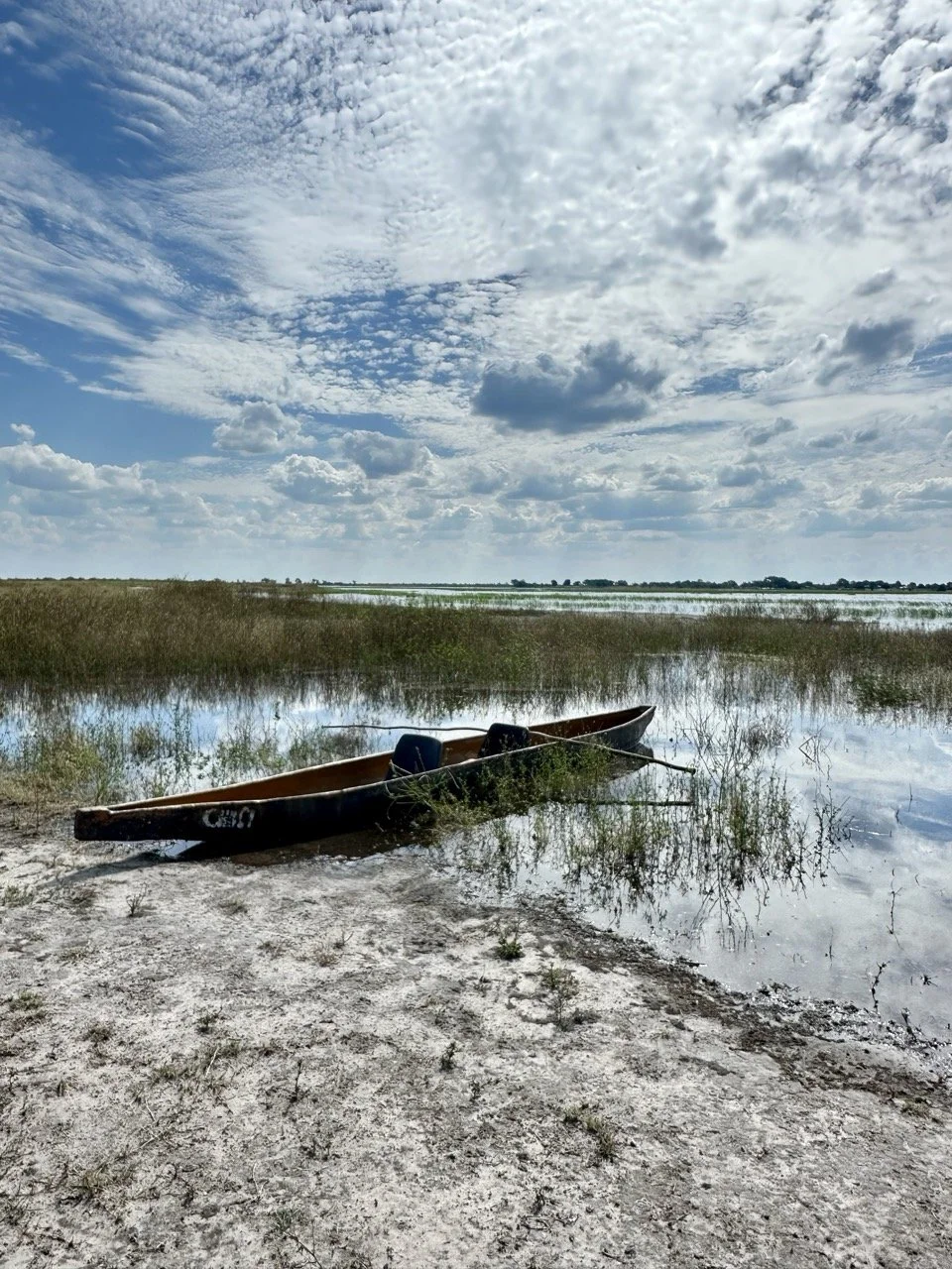 Traditional Mokoro in Botswana.jpeg