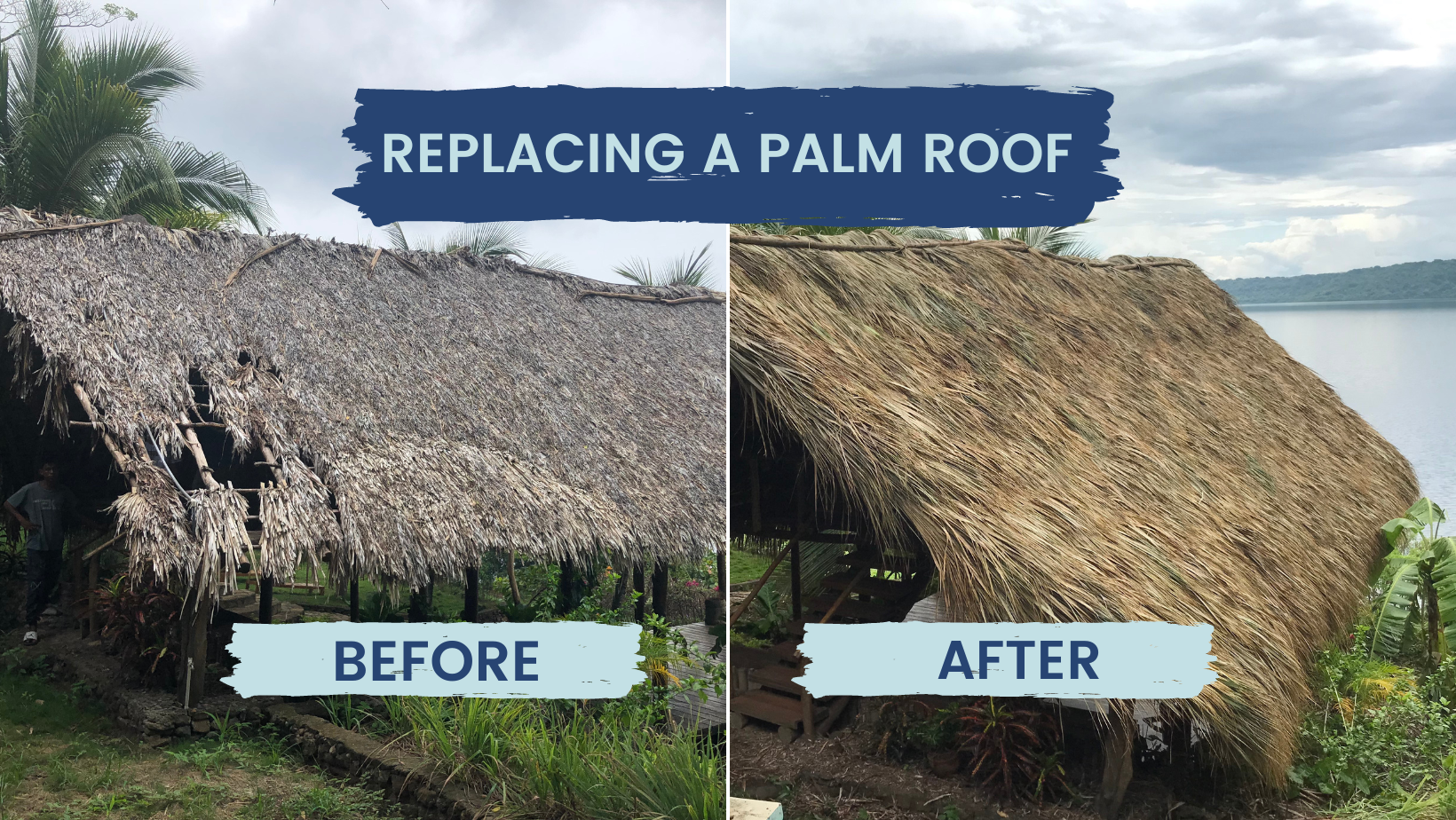 Replacing a Palm Roof in Nicaragua (2 mins Vlog)
