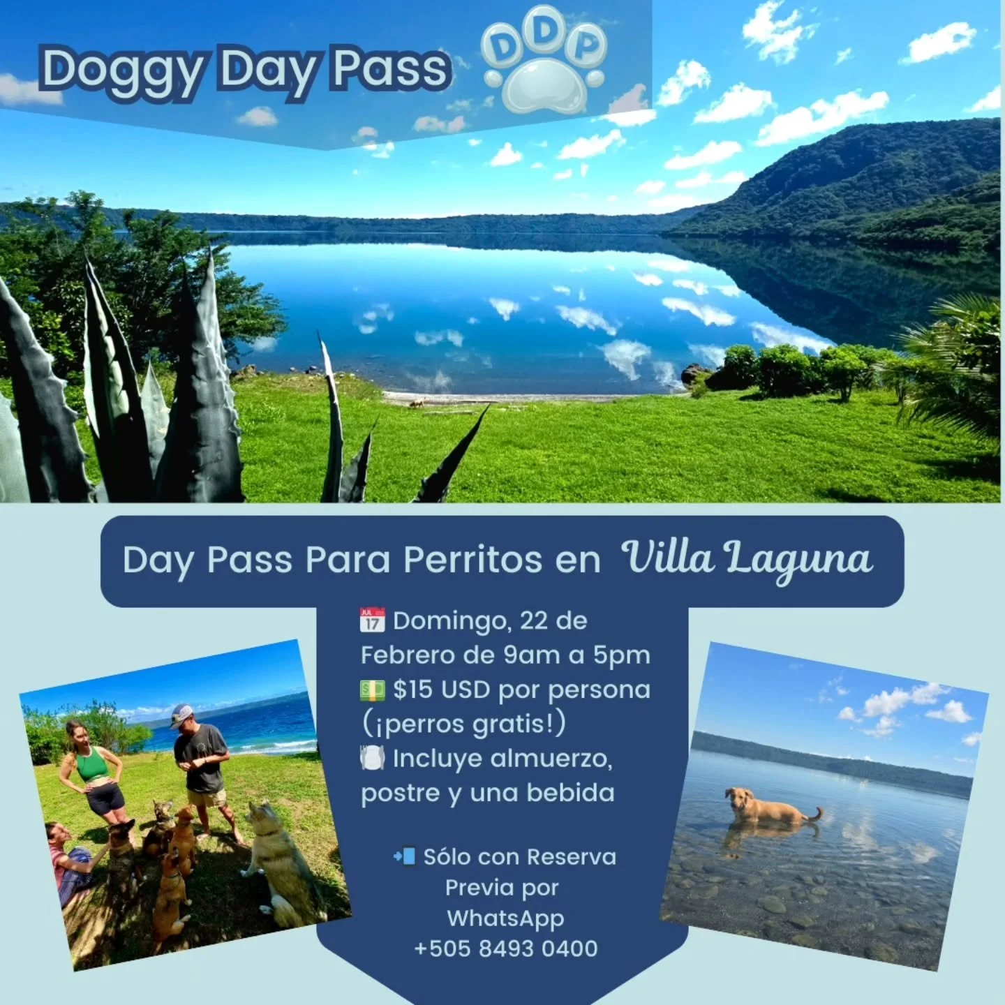 🐶 Doggy Day Pass en Villa Laguna 🌿💦

(English in comments)

Este domingo 22 de febrero inauguramos en Villa Laguna un day pass pensado especialmente para quienes quieren disfrutar de la Laguna de Apoyo con sus perritos, en un entorno natural y tra