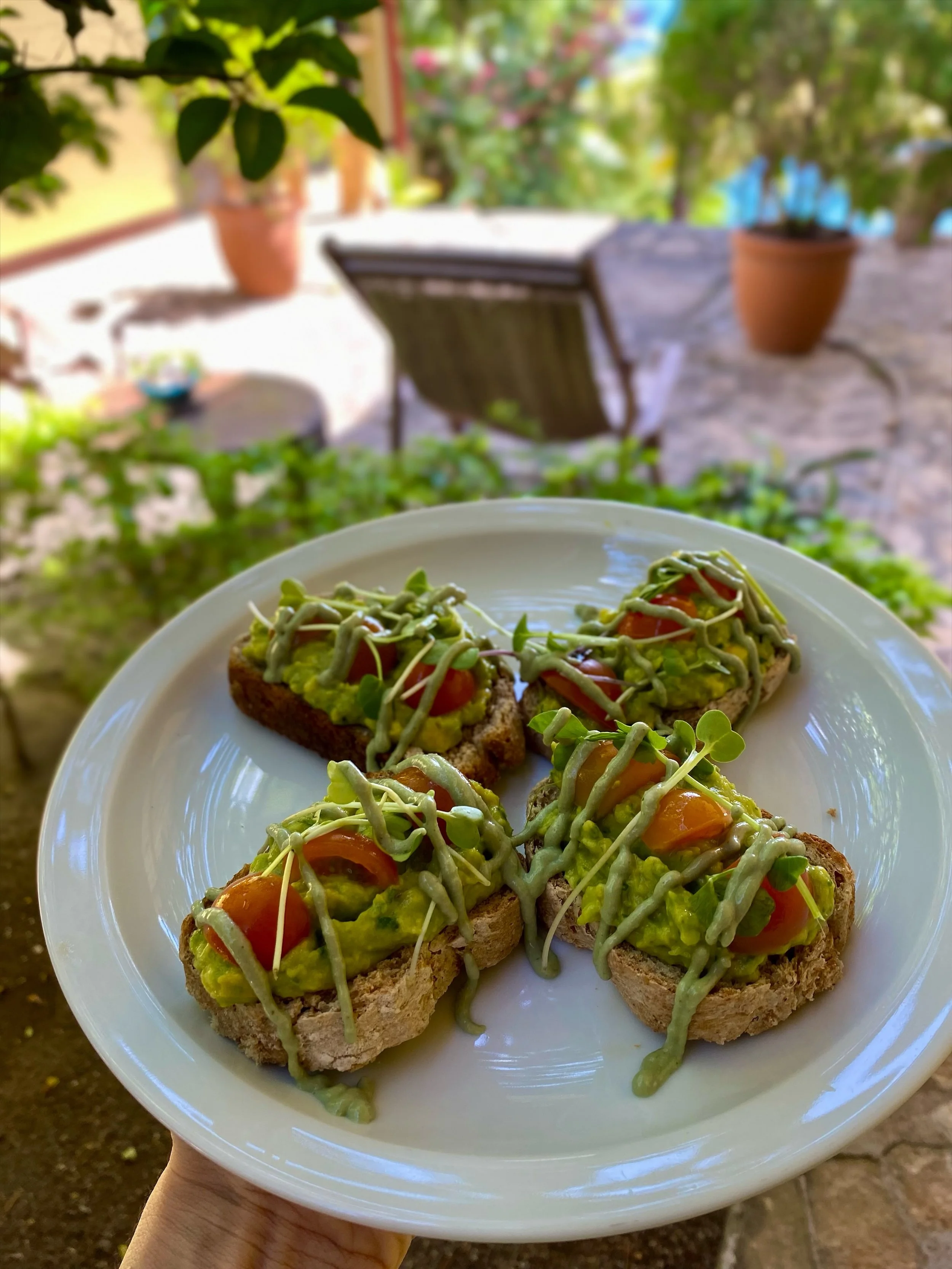 🇺🇸 Avocado Toast, the Villa Laguna way&hellip;

&bull;Homemade whole wheat bread
&bull;Avocados
&bull;Cherry Tomatoes
&bull;Microgreens
&bull;Cilantro Cashew Cream

Come and try for yourself!

⭐️ Villa Laguna - Unique Space for Retreats and Group E