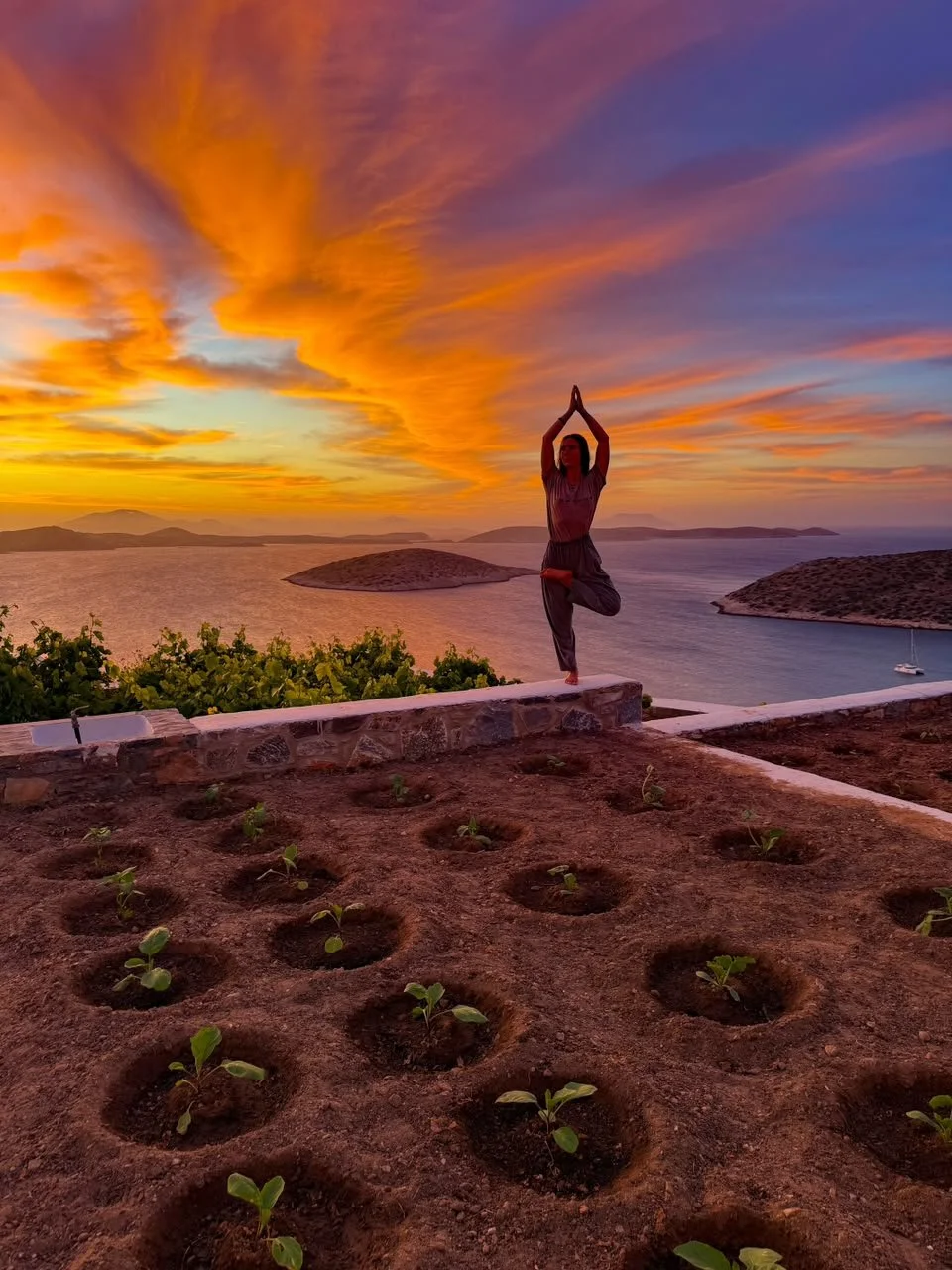 tree pose in the garden at sunset meltemi retreat iraklia.jpeg
