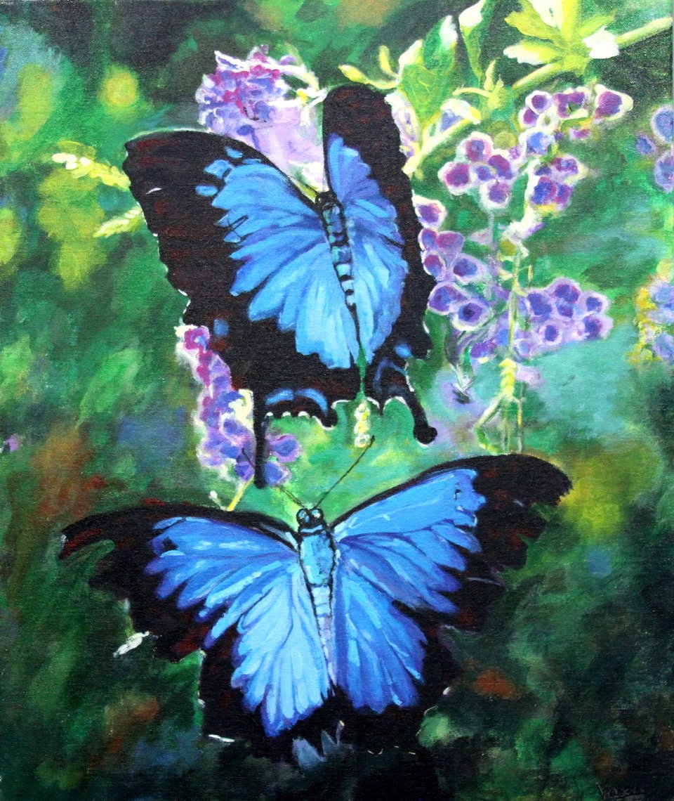 Blue Morpho Ballet