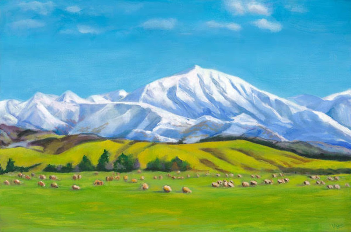 Sheep under snow canopy.jpg
