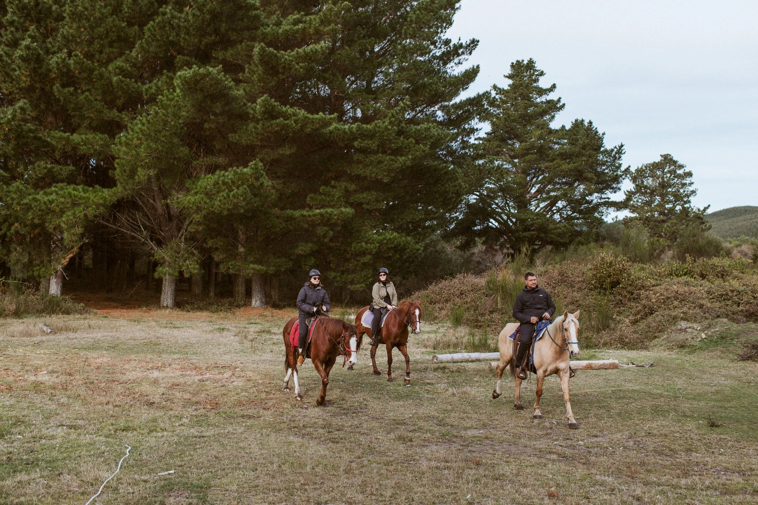 Korohe-Horse-Treks-081.jpg