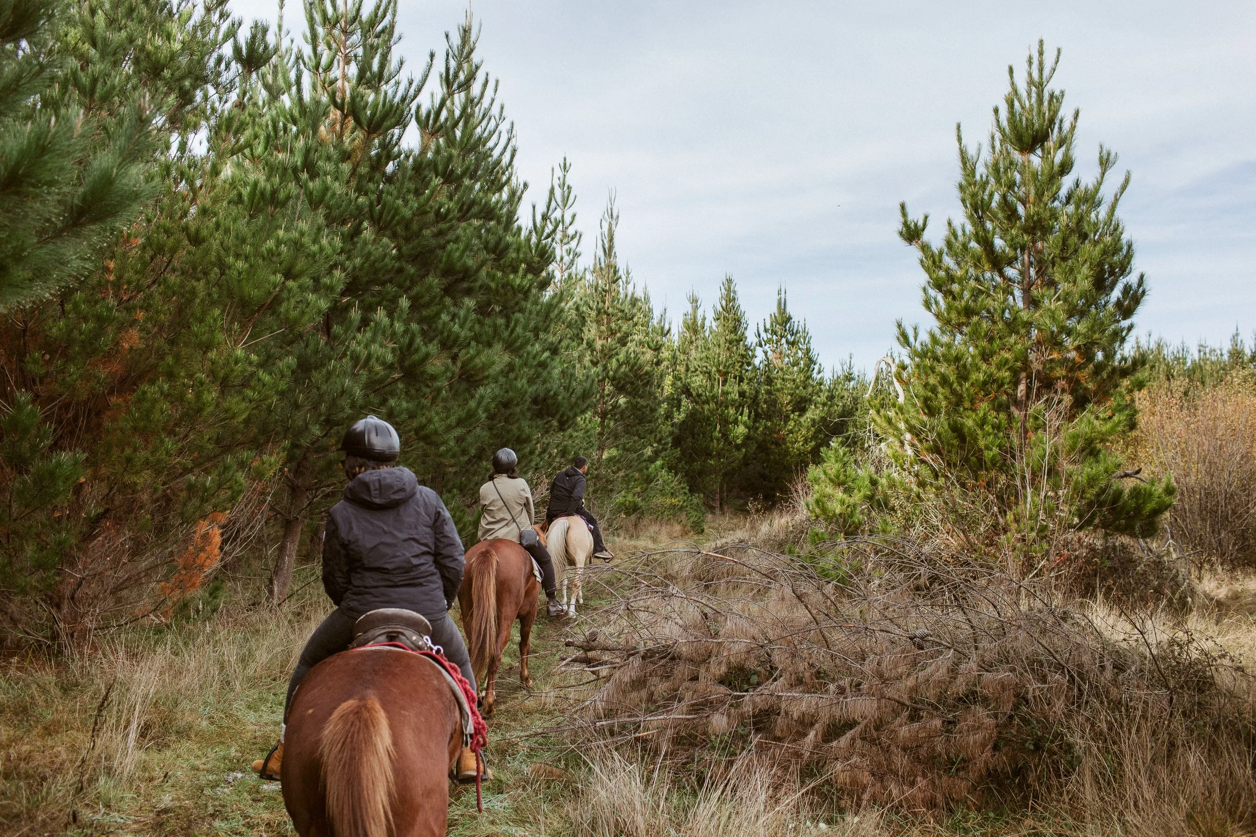 Korohe-Horse-Treks-037.jpg