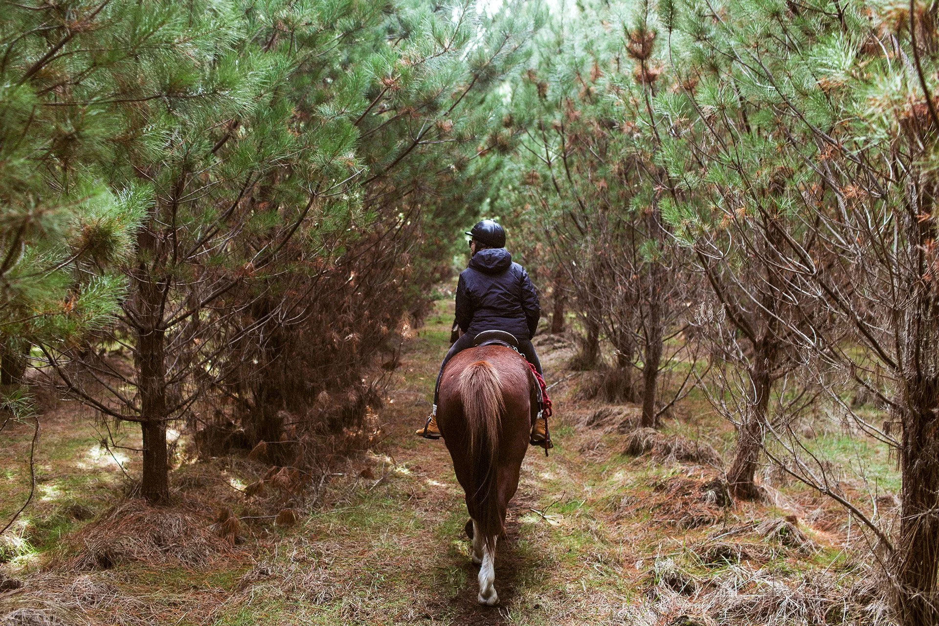 Korohe-Horse-Treks-038.jpg