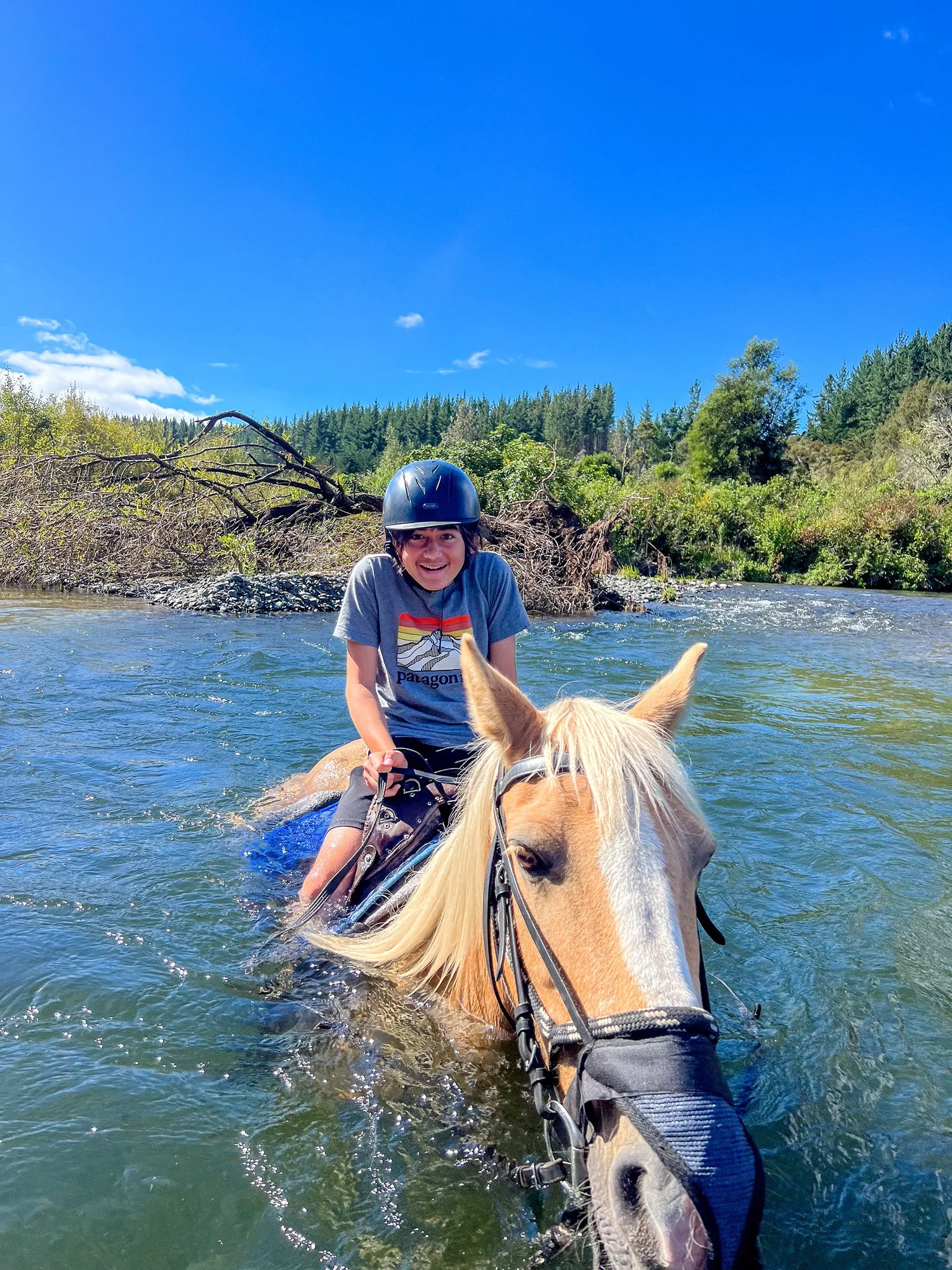 Swimming With Horses — Our Rides — Korohe Horse Treks — Explore Lake Taupo