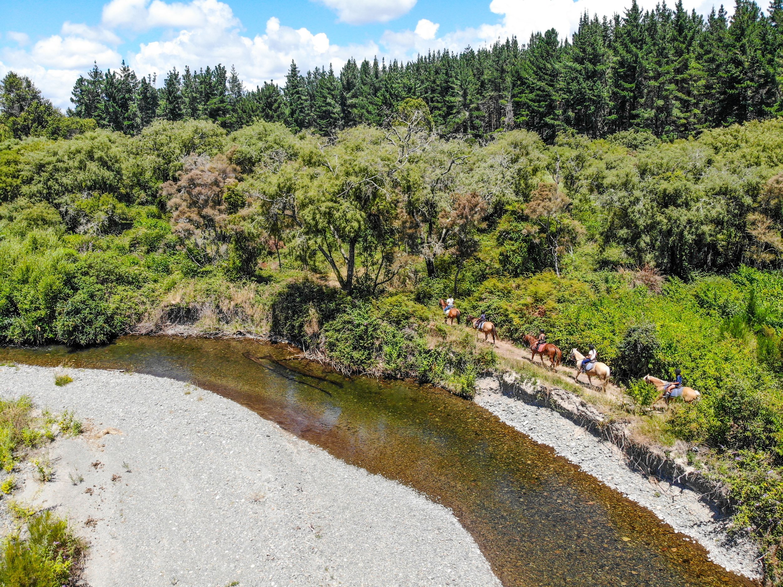 Korohe Horse Treks Drone 5.jpg