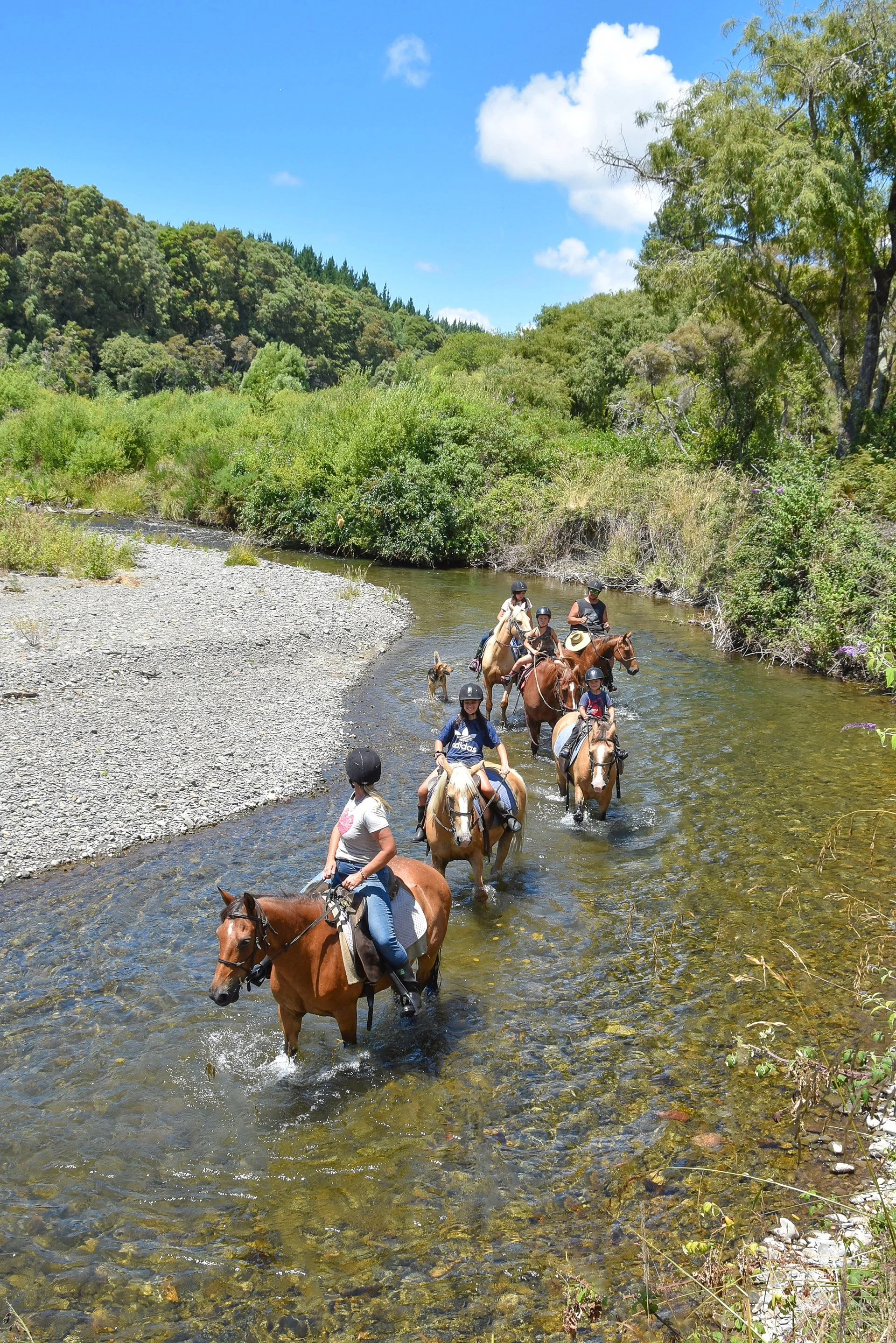 Korohe-Horse-Treks-3-2.jpg