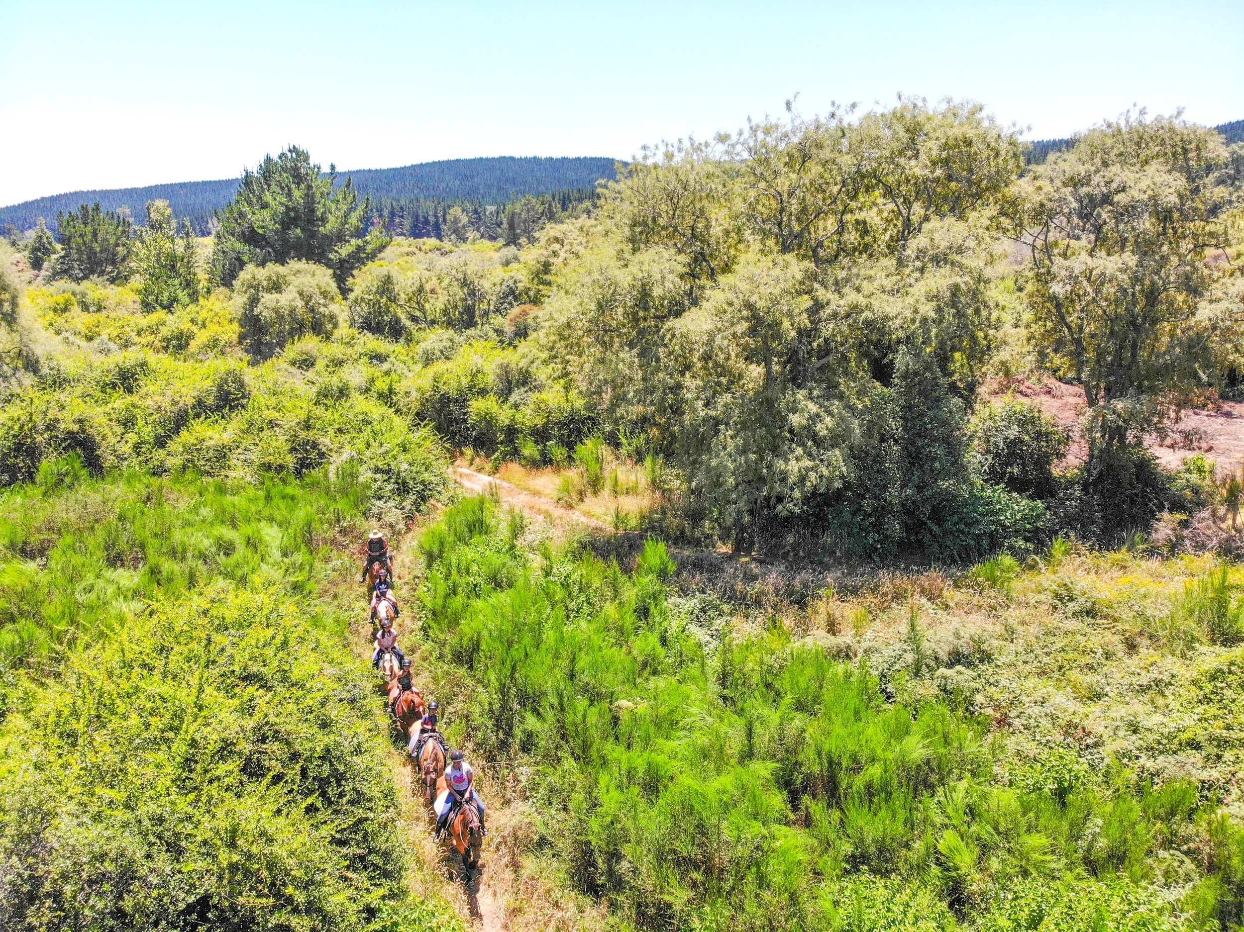 Korohe Horse Treks Drone 8.jpg