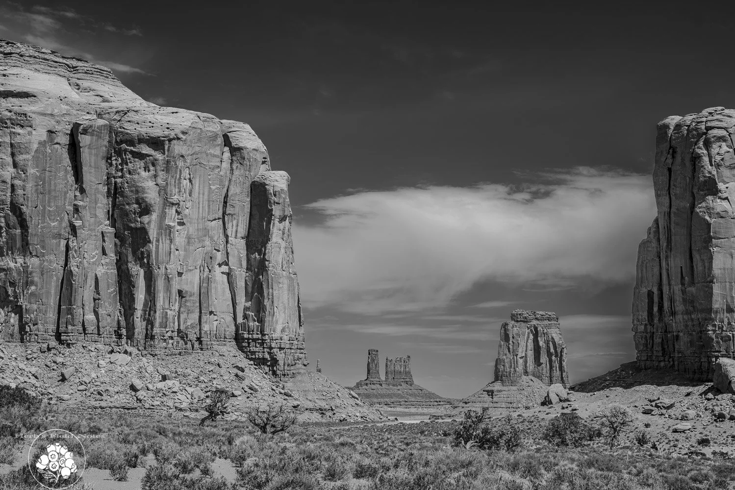 Monmument Valley Loop Gen View BW 2 HFN.jpg