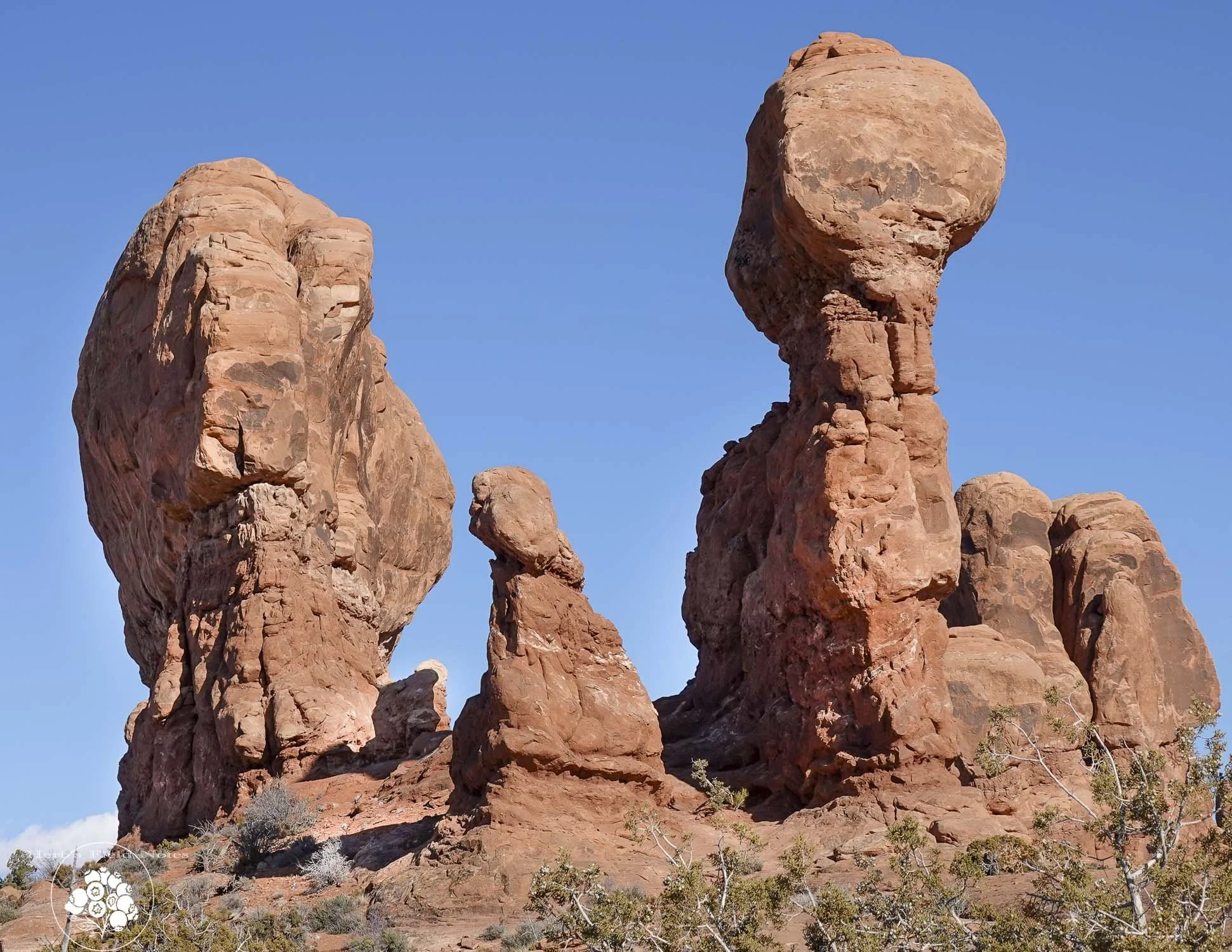Large red sandstone rock formations in a desert landscape with sparse vegetation under a clear blue sky.