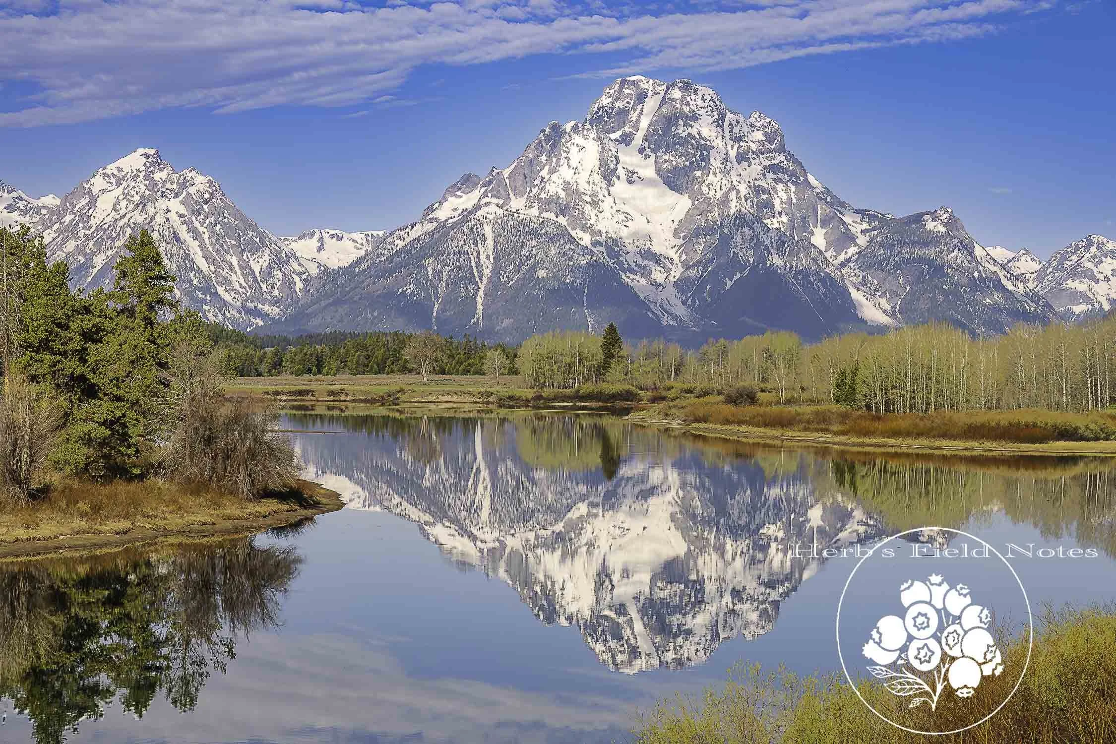Oxbow Bend Ref 2 GTNP 2021 SQ.jpg