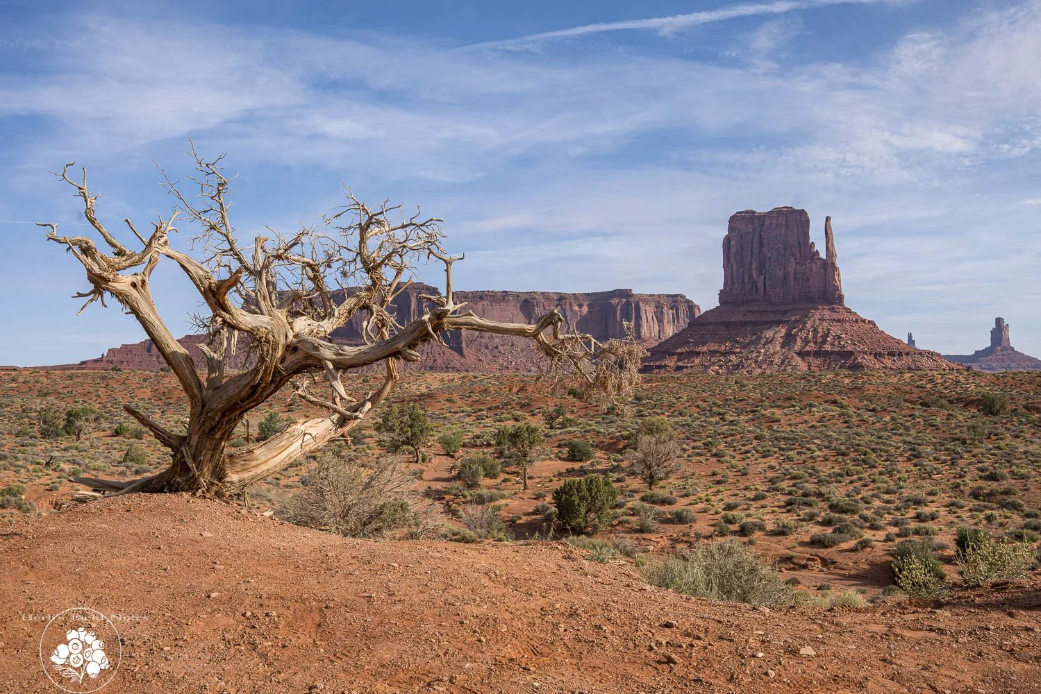 Mon Valley Mitten w Skel Tree 1 HFN.jpg