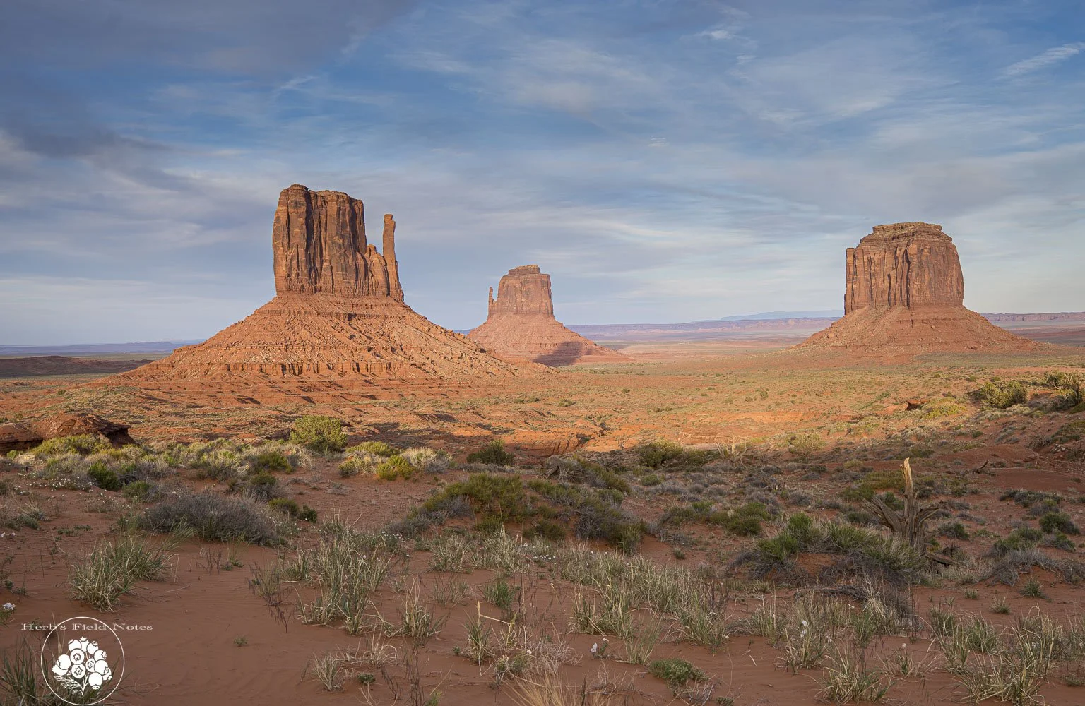 Mon Valley Mittens + Merrick Butte 1 HFN.jpg