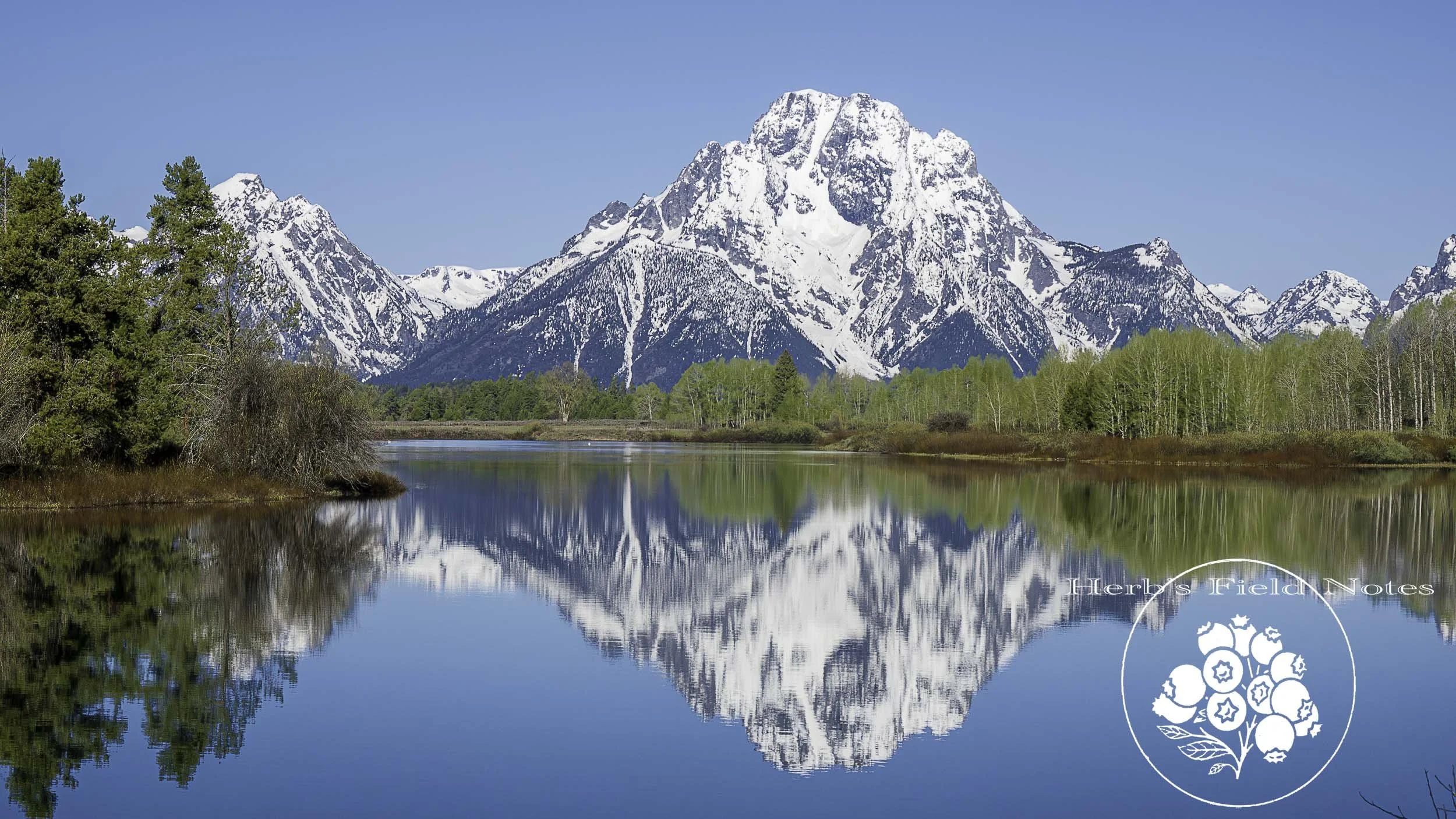 Oxbow Bend Ref 1 GTNP 2024 SQ.jpg