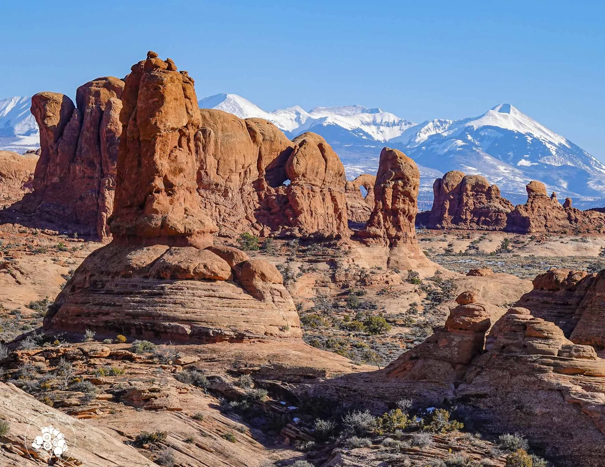 A landscape of red rock formations in a desert with snow-capped mountains in the background and a clear blue sky.