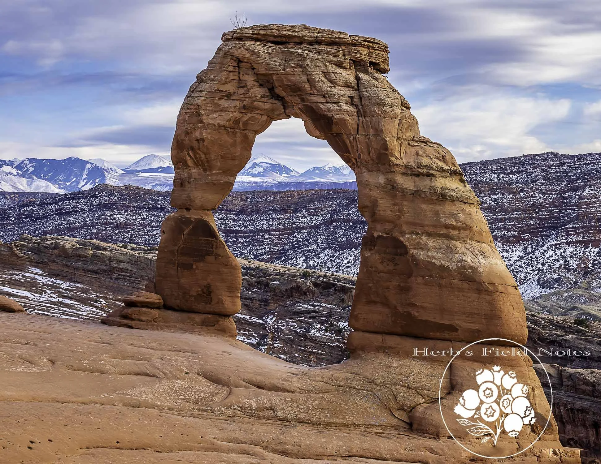 Delicate Arch I SQ.jpg