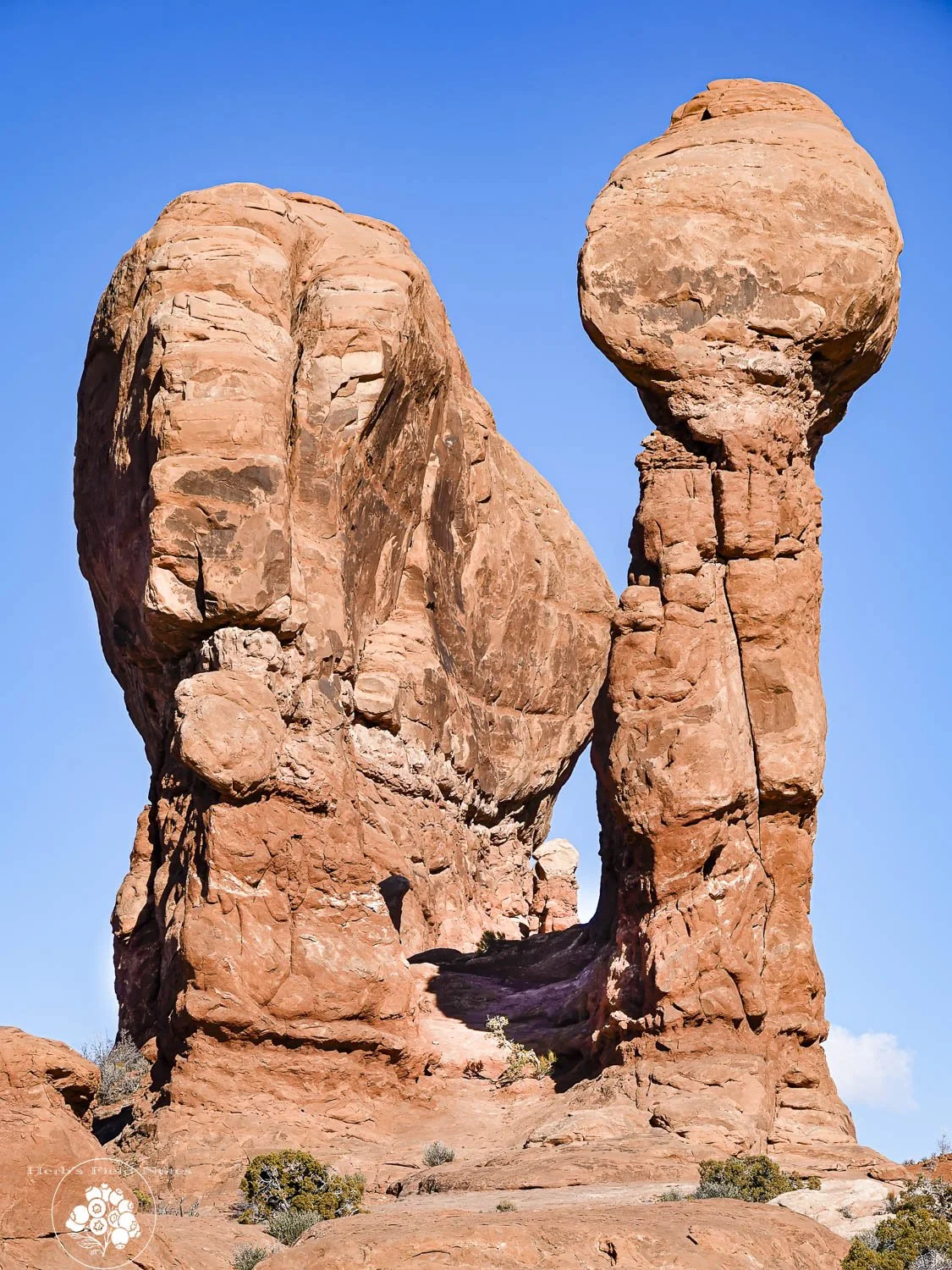 A natural rock formation called Balanced Rock, featuring a large boulder balanced on a narrow column of rock in a desert landscape under a clear blue sky.