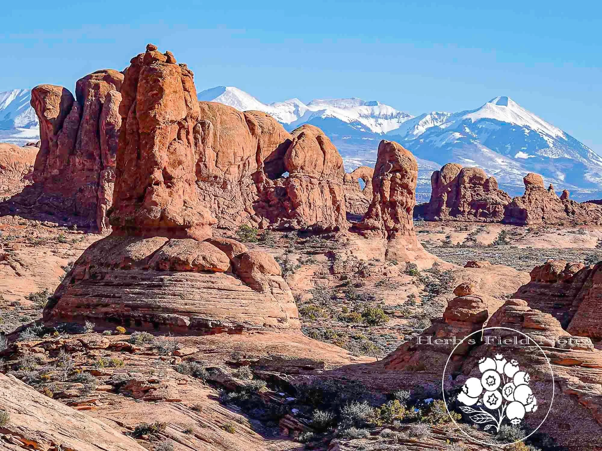 Arches + Lasals II SQ.jpg