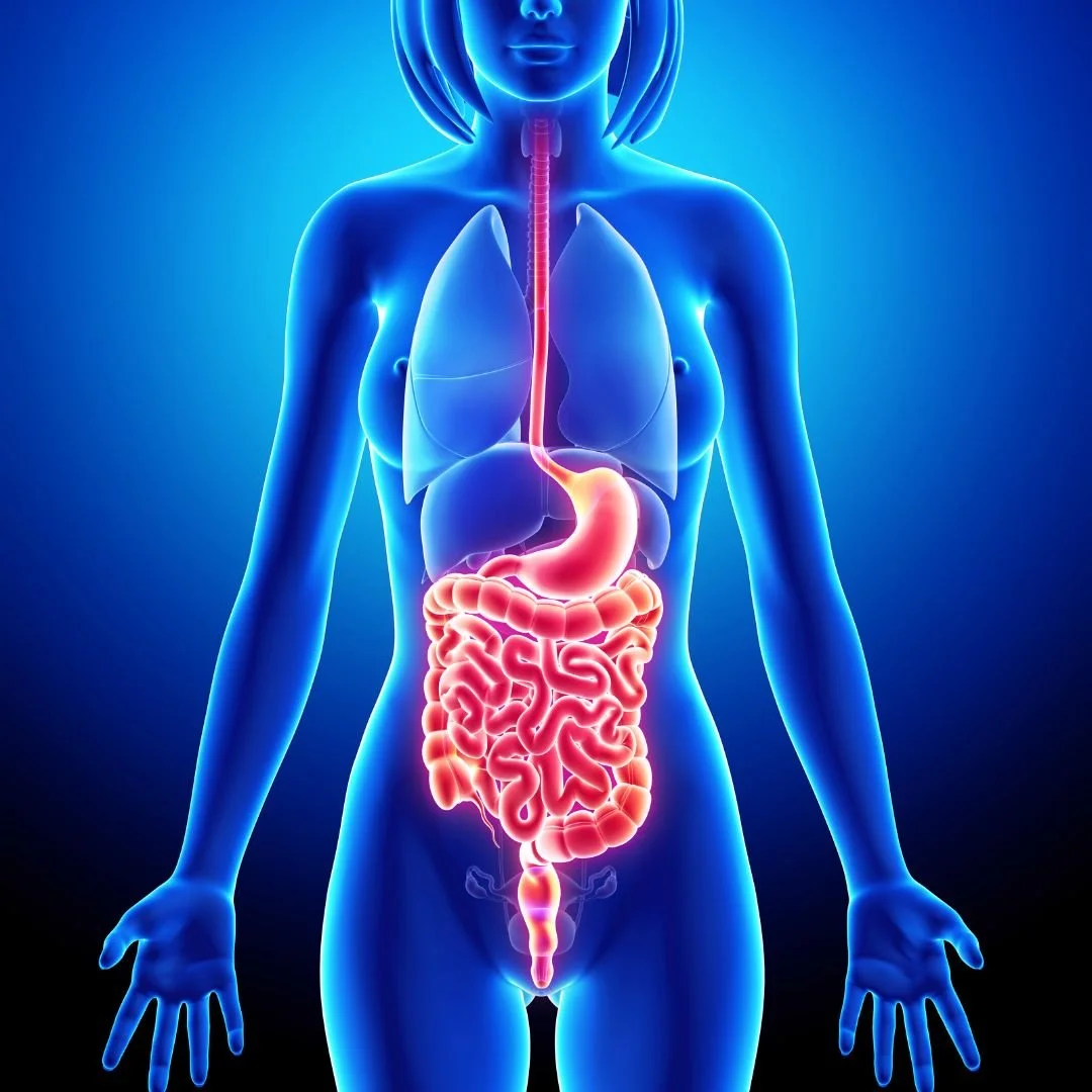 Girl Organism Videos